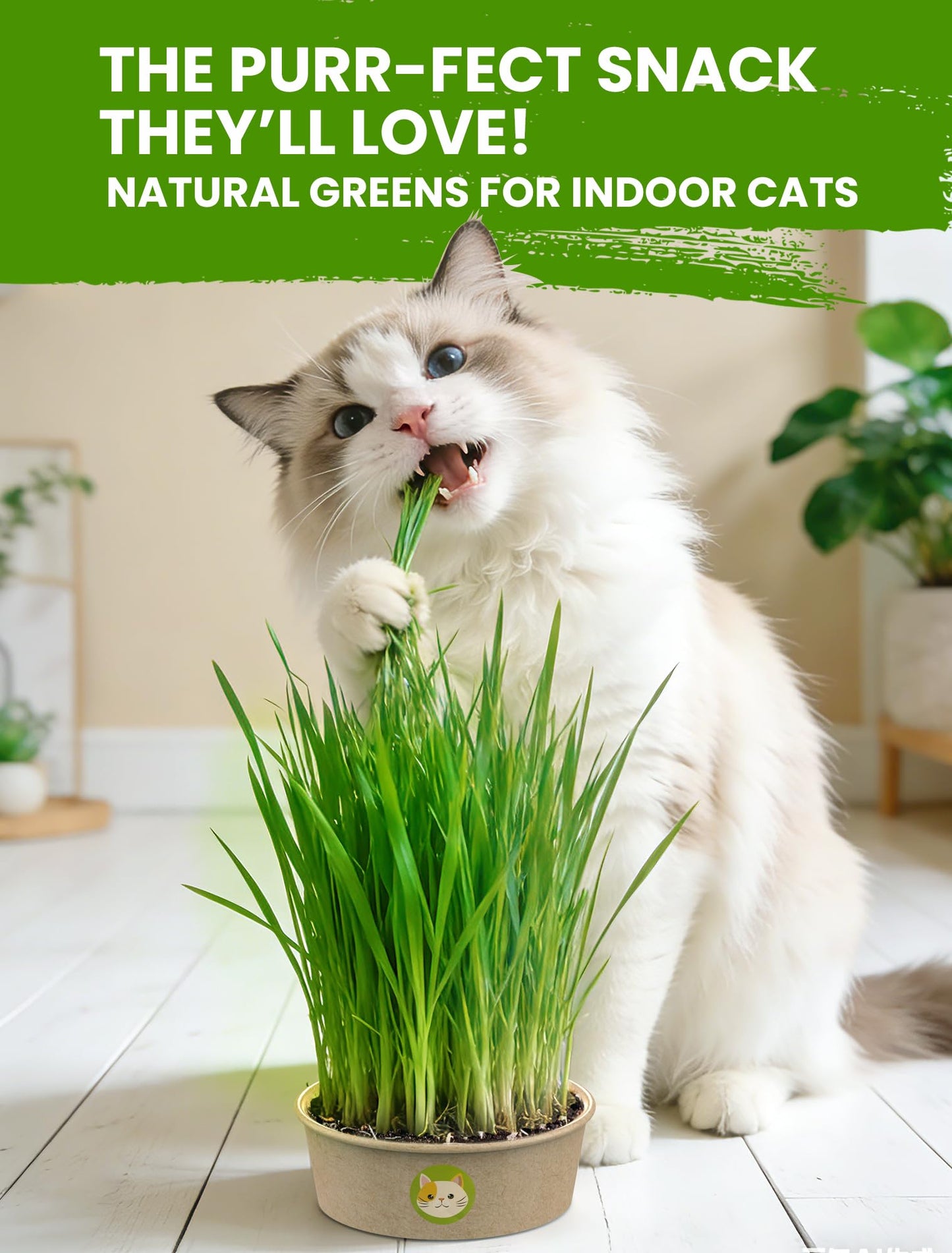 Cat Grass Kit for Indoor Cats, 3 Pack Fast Growing Cat Grass Kit with Eco-Friendly Biodegradable Pots, Soil & Wheatgrass Seeds, Grows in 3-7 Days with High Germination Rate