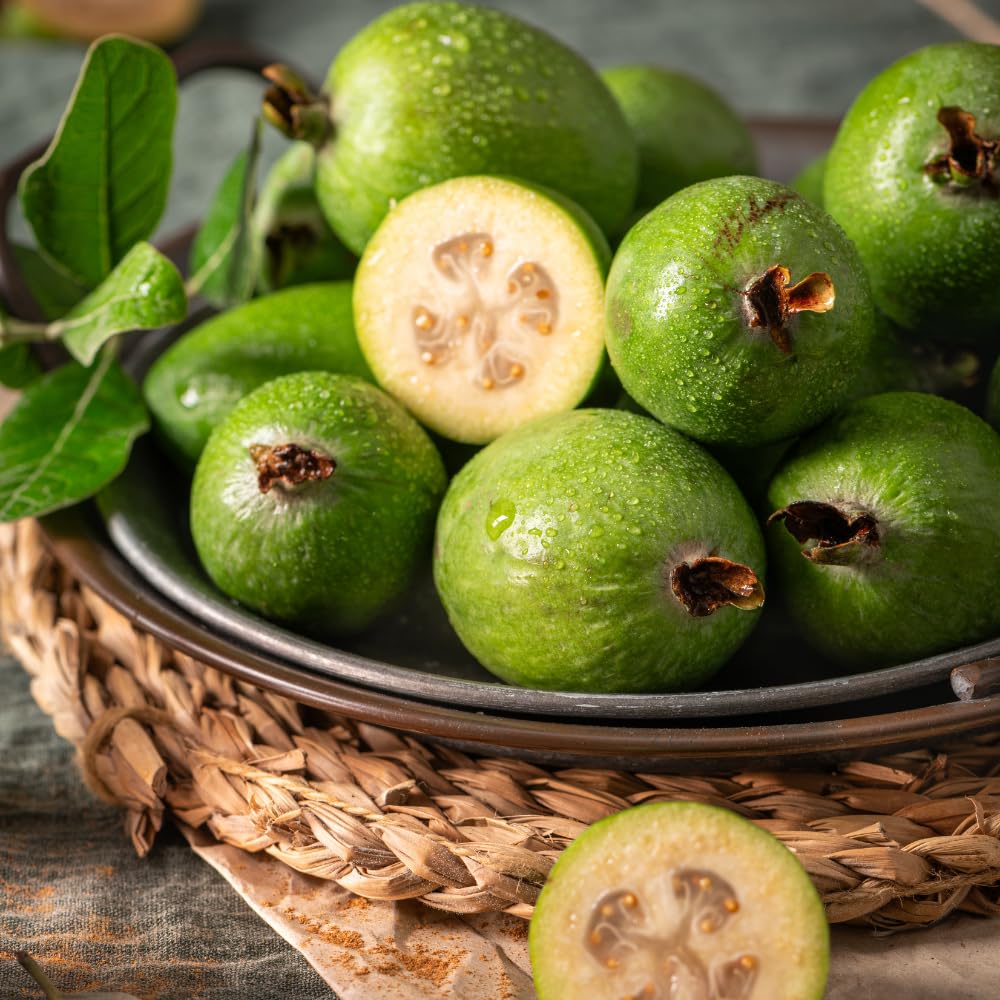 Set of 2 Guava Tree Live Plant, Guava Plant Live from 4 to 6 Inches in Height, Sweet Fruit for Outdoor Planting (Pineapple)
