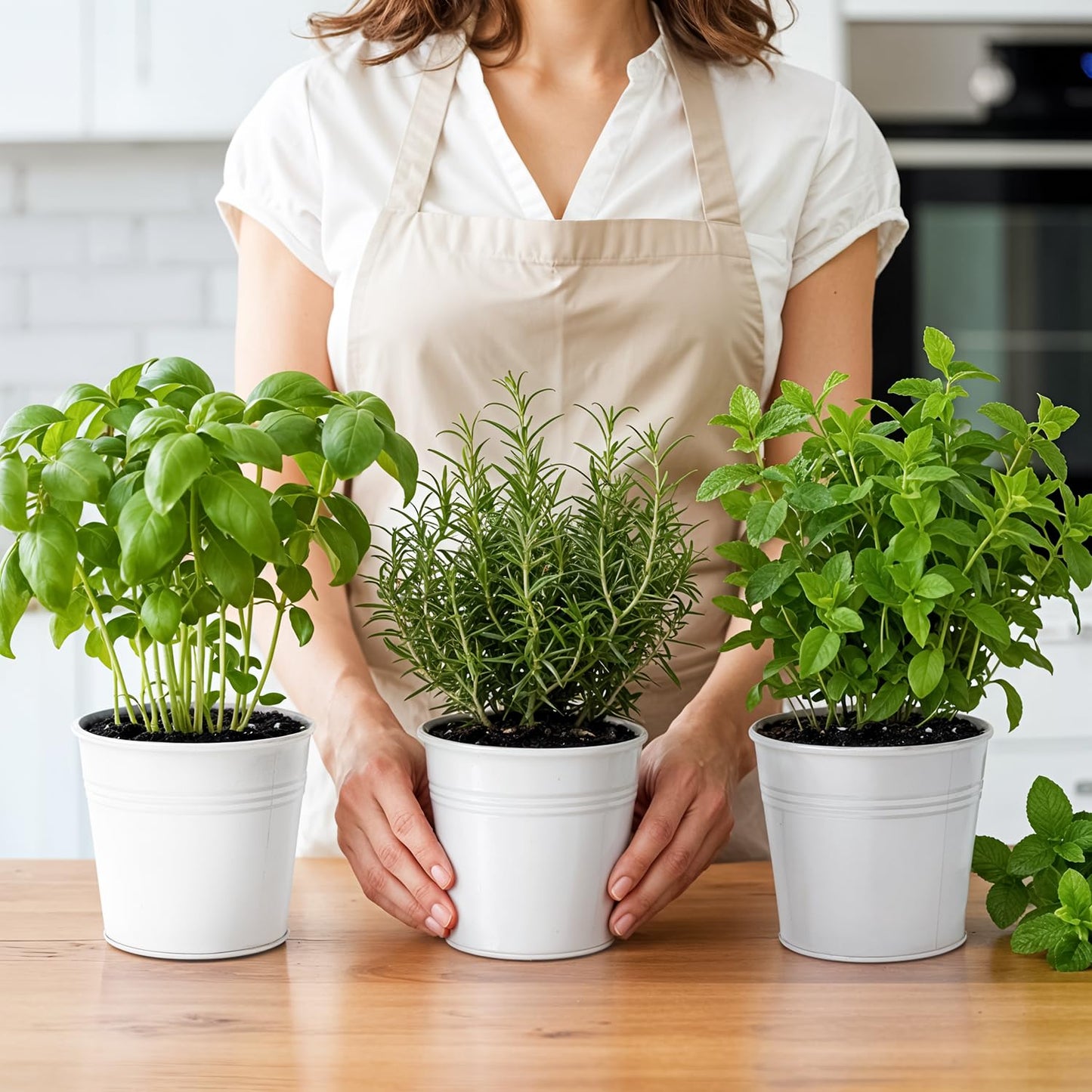 Plexon Herb Planter Indoor Garden Set of 3 with Tray, Metal Herb Pots for Indoor Plants, Round Kitchen Garden Kit Ideal for Windowsill Planter or Countertop, White Powder Coated