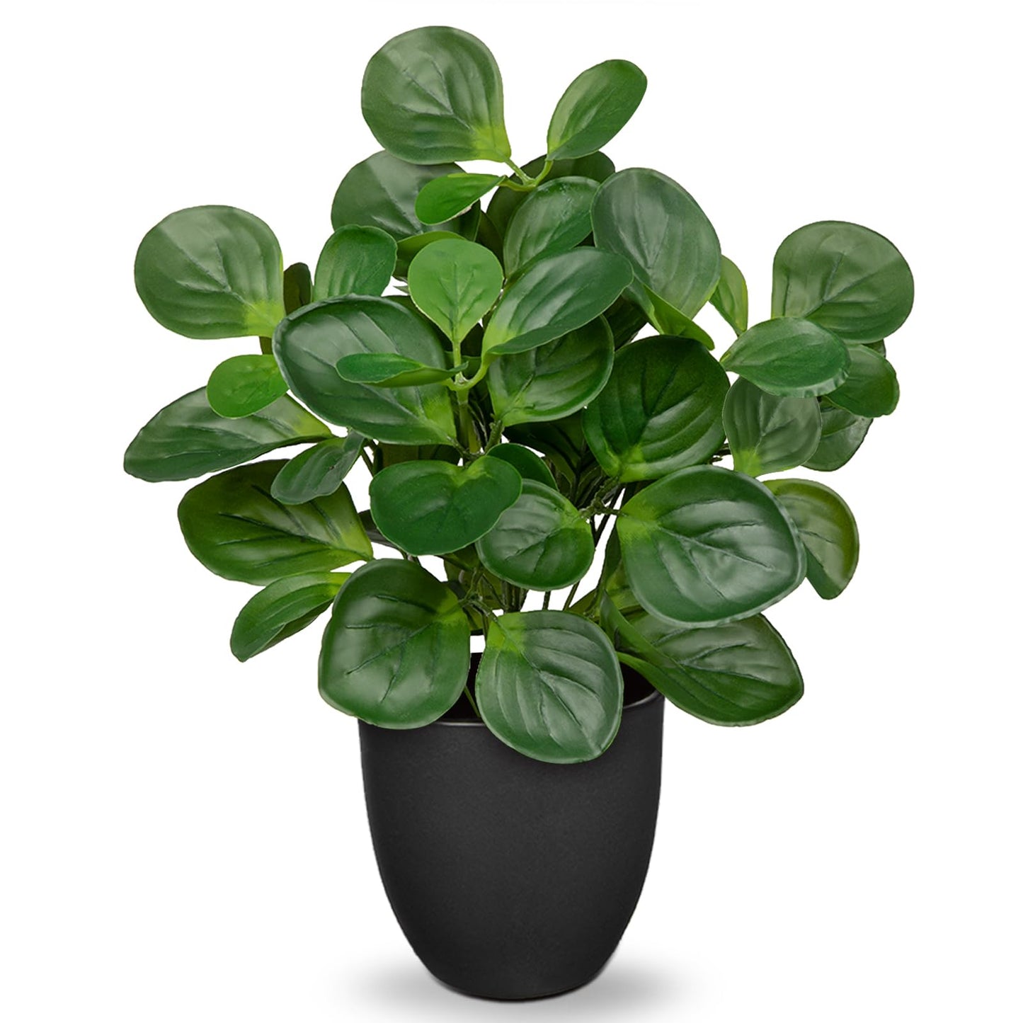 Villa Como 14.5" Artificial Plants Indoor Home Decor, Fake Potted Silk Plants for Shelves Living Room Decorative, Small Artificial Office Desk Plants in Pots, Faux Peperomia Hope Tropical House Plant