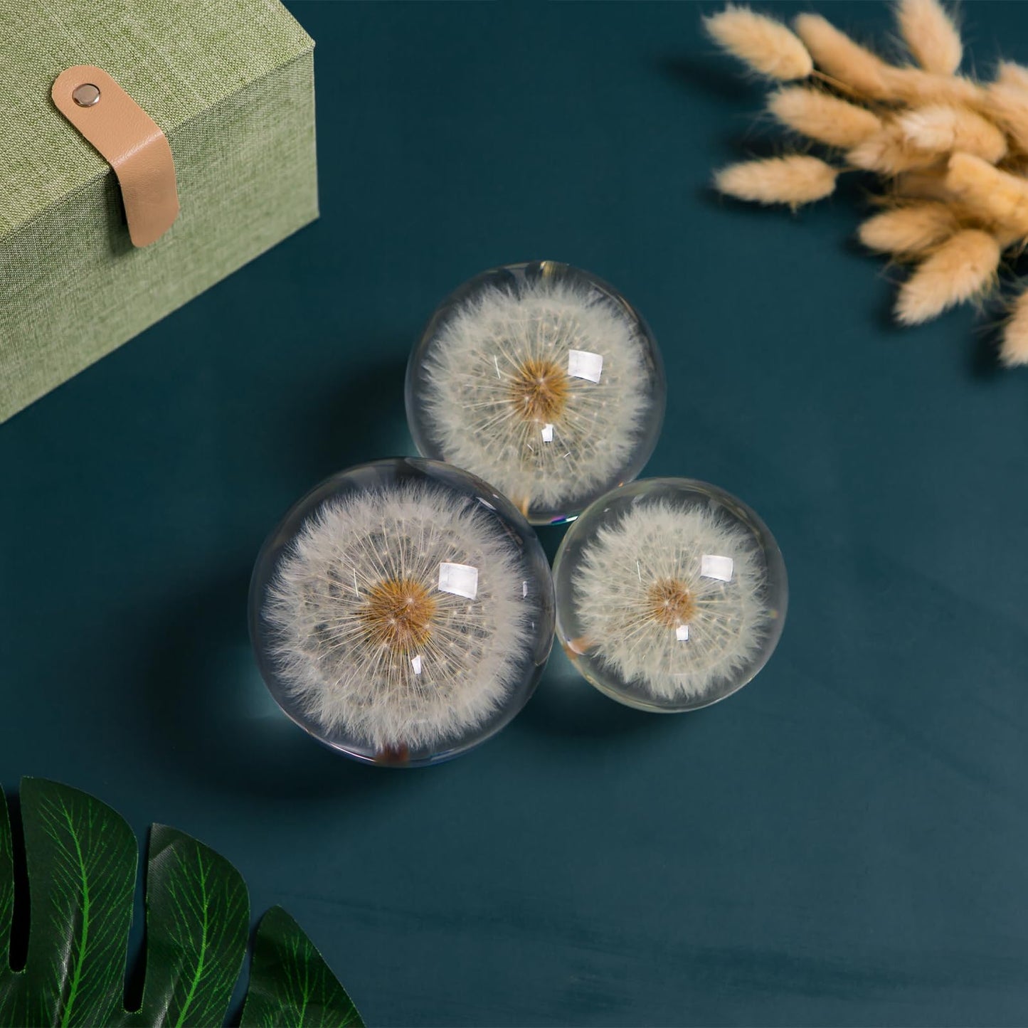 Paperweight Dandelion Dream Ball. Crystal Wishing Ball. Unique Paperweight Made of Dandelion. Gift for Women Men (Mom, Dad, Teacher), Birthday, Wedding, Valentine's Mother's. (9CM)
