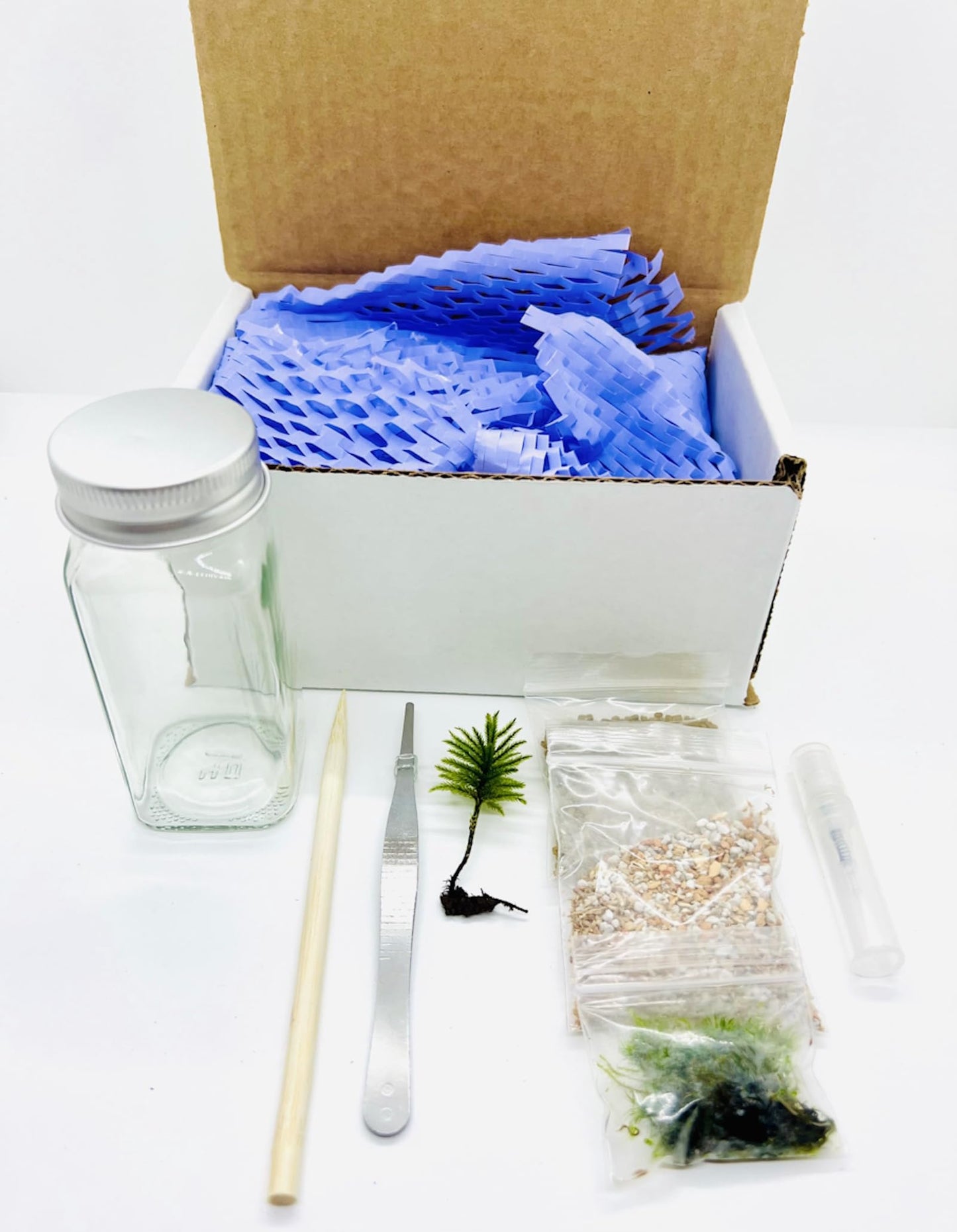 Live Little Tree Terrarium Kit, Self-Sustaining DIY Tree Moss Terrarium, Indoor Low Maintenance, Home and Office Décor (DIY Kit)