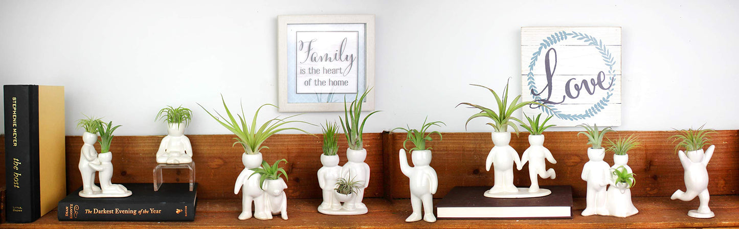 NW Wholesaler 5 Inch White Ceramic Couple Holding Hands People Shaped Planter with Two Live Tillandsia Air Plants - Potted Indoor Air Plants for Home and Office Decor