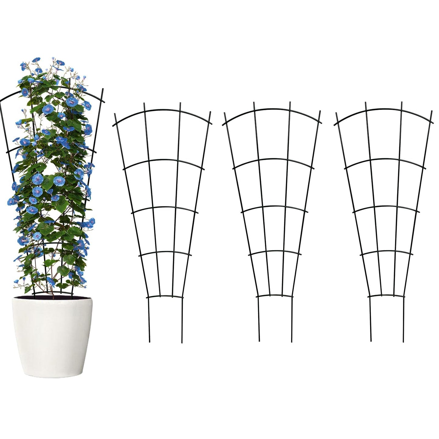 Thealyn 4 Pack 43" Metal Plant Trellis for Pots & Garden Beds, Rustproof Support for Indoor Outdoor Climbing Plants, Vines, Flowers, Fan Shaped, Black