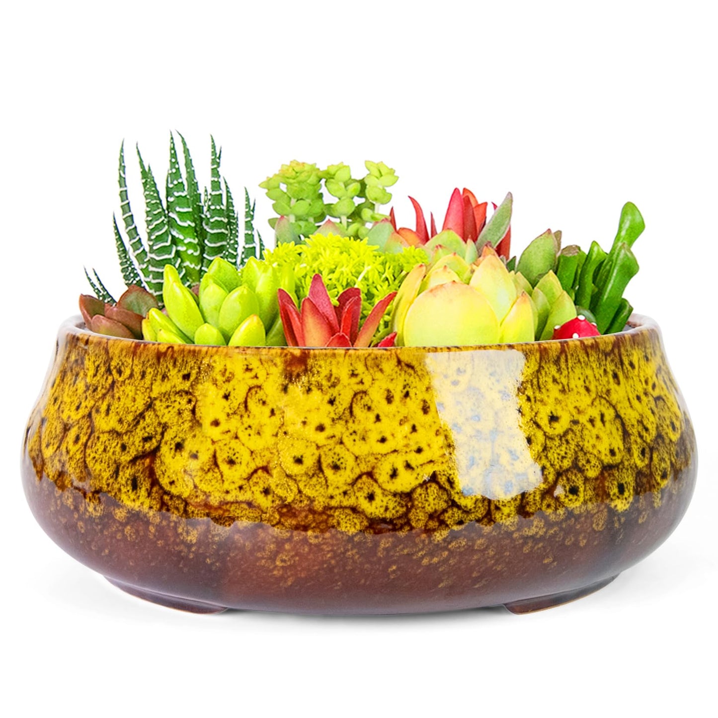 ARTKETTY Succulent Pots - 8 Inch Plant Pot, Large Bonsai Pots with Drainage, Ceramic Planters for Indoor Outdoor Plants, Round Shallow Cactus Flower Plant Container Bowl Decorative Home Garden