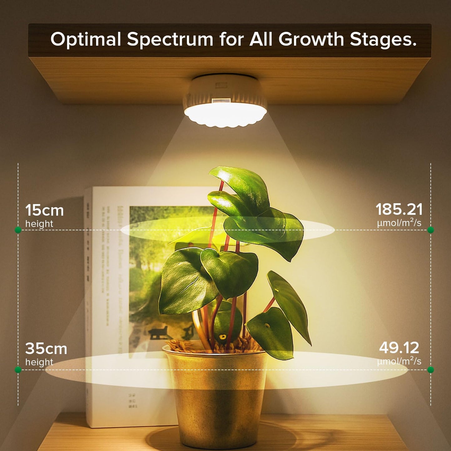 SGLEDS 7W Grow Light for Indoor Plants, Full Spectrum Plant Light with Auto Timer (3/6/12H) & 4-Level Dimming, Small Led Grow Light for Seedlings, Succulents, Herbs