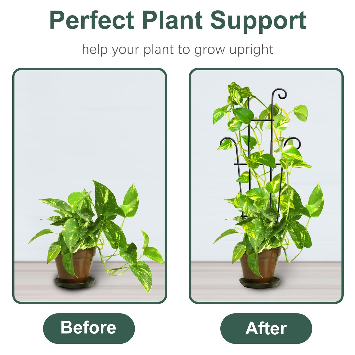 Coomin 23in Taller Plant Trellis for Climbing Plants Indoor, Sturdy Houseplant Trellis for Potted Plants with Ties, Vine Plant Support for Monstera Pothos Ivy, Plant Decor, 4P