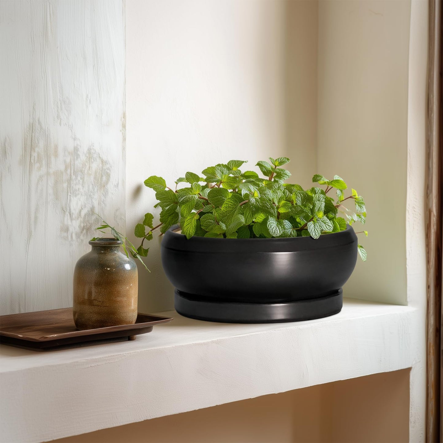 EPFamily Succulent Planters 8 Inch - Ceramic Bonsai Pots for Indoor Outdoor, Round Succulent Pots with Drainage Hole and Saucer, Modern Shallow Planter Bowl, Garden Home Decor, Birthday Gifts, Black