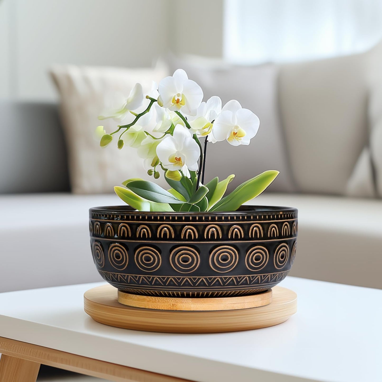 Eightpot Ceramic Bonsai Pots - 8 Inch Plant Pot for Succulent, Round Planter for Indoor Plants, Shallow Planters with Drainage Hole and Tray, Boho Bonsai Bowl, Living Room Decor, Black