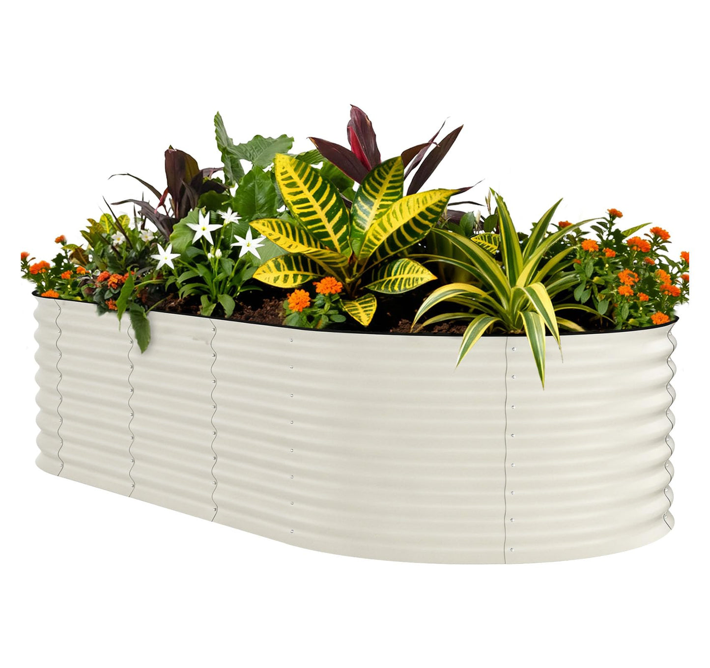 Garvee 10x4x1.5ft Galvanized Raised Garden Bed, Oval Metal Planter Box with Anti-Cut Safety Edges, 449 Gallons Rust-Resistant Deep Root Planter for Outdoor Vegetables, Flowers, Herbs, Beige