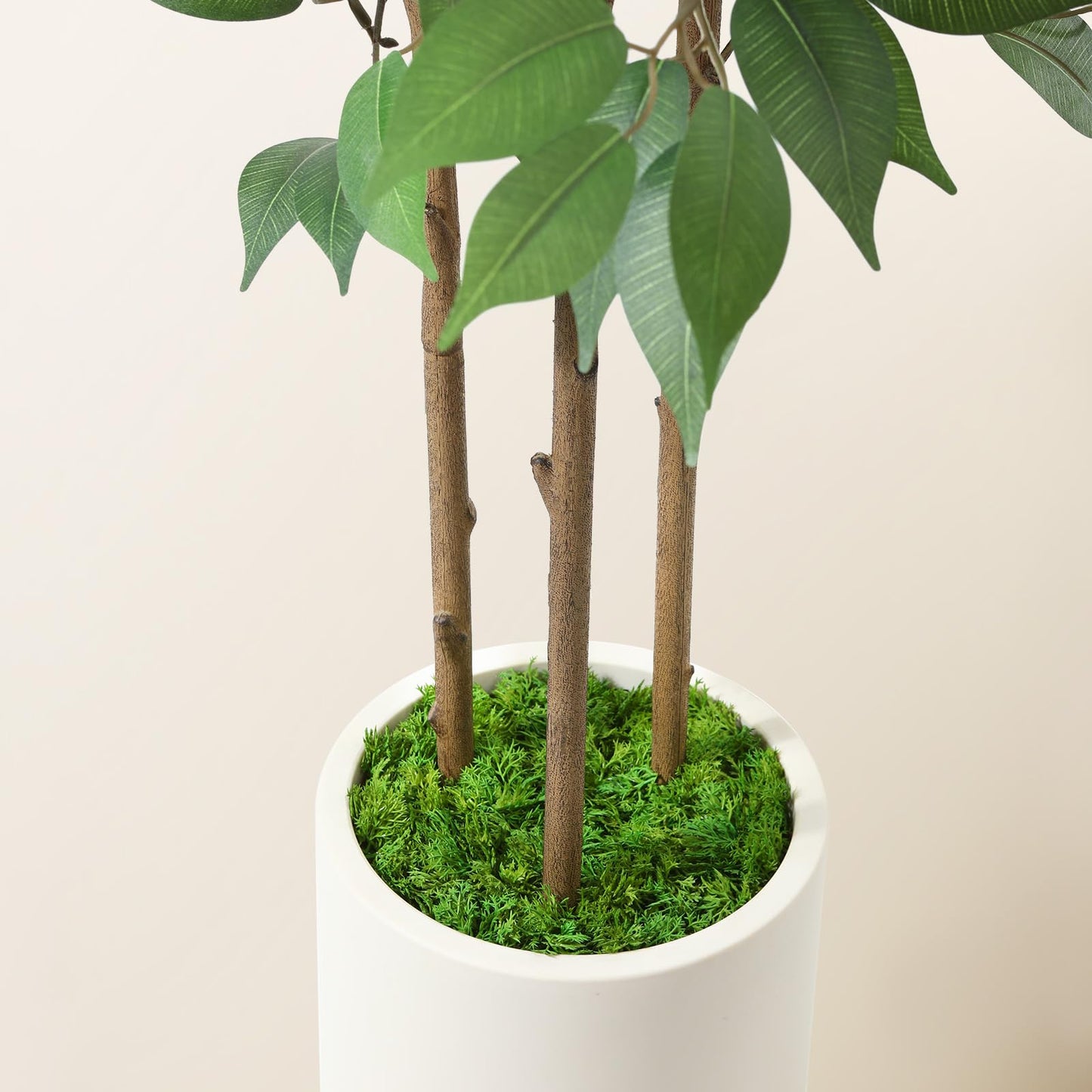 SOGUYI Ficus Artificial Tree 5ft Tall Fake Ficus Tree for Home Decor Indoor Faux Silk Ficus Plant Fake Floor Plant in White Imitation Ceramic Planter with Green Fake Moss, Set of 1