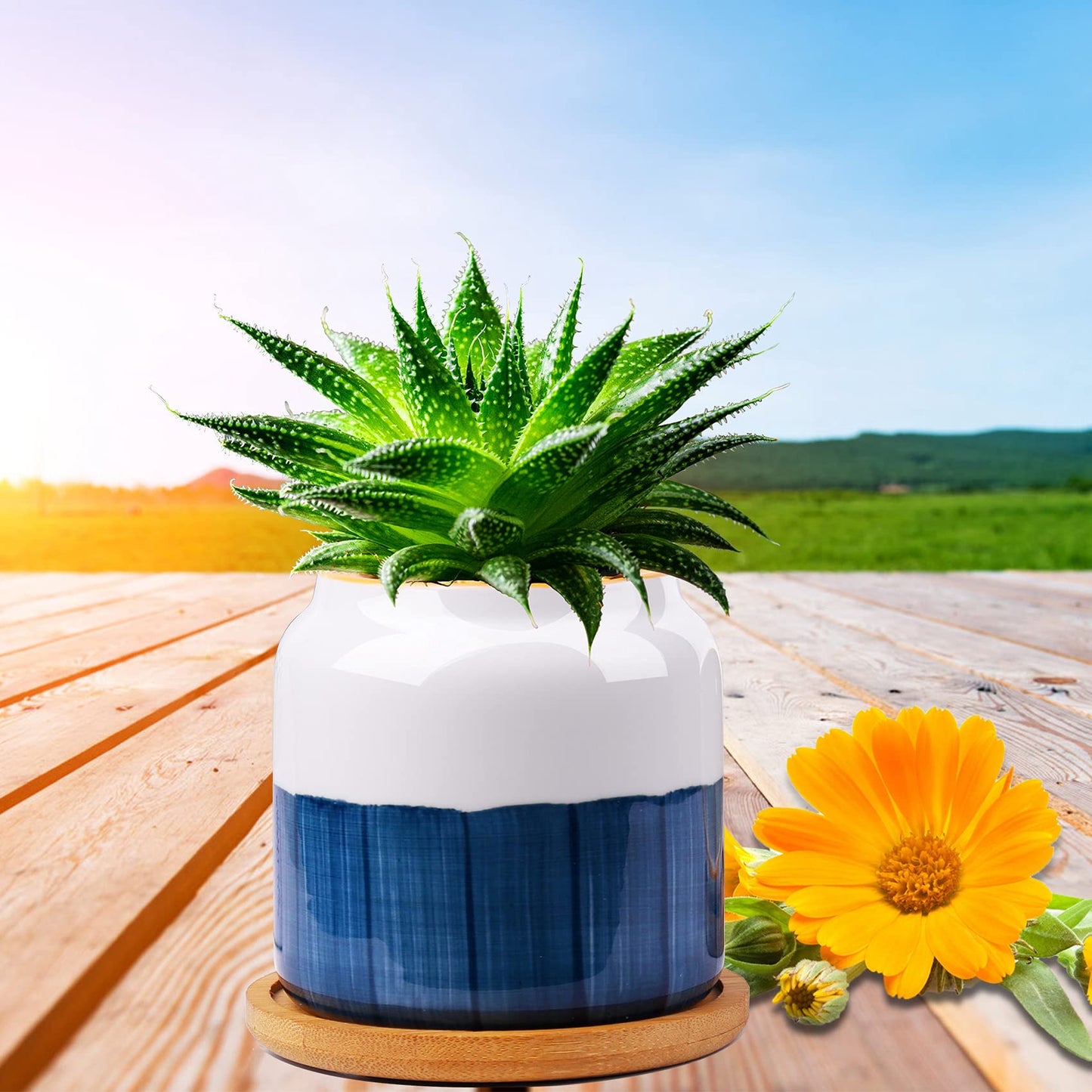 Succulent Pots, 3.5 Inch Small Succulent Planters with Drainage for Plants Live, Hand-Painted Ceramic Pot Flower Pots Bonsai Pots with Bamboo Tray, Unique Gifts for Women/Men, 4 Pack (Abstract)