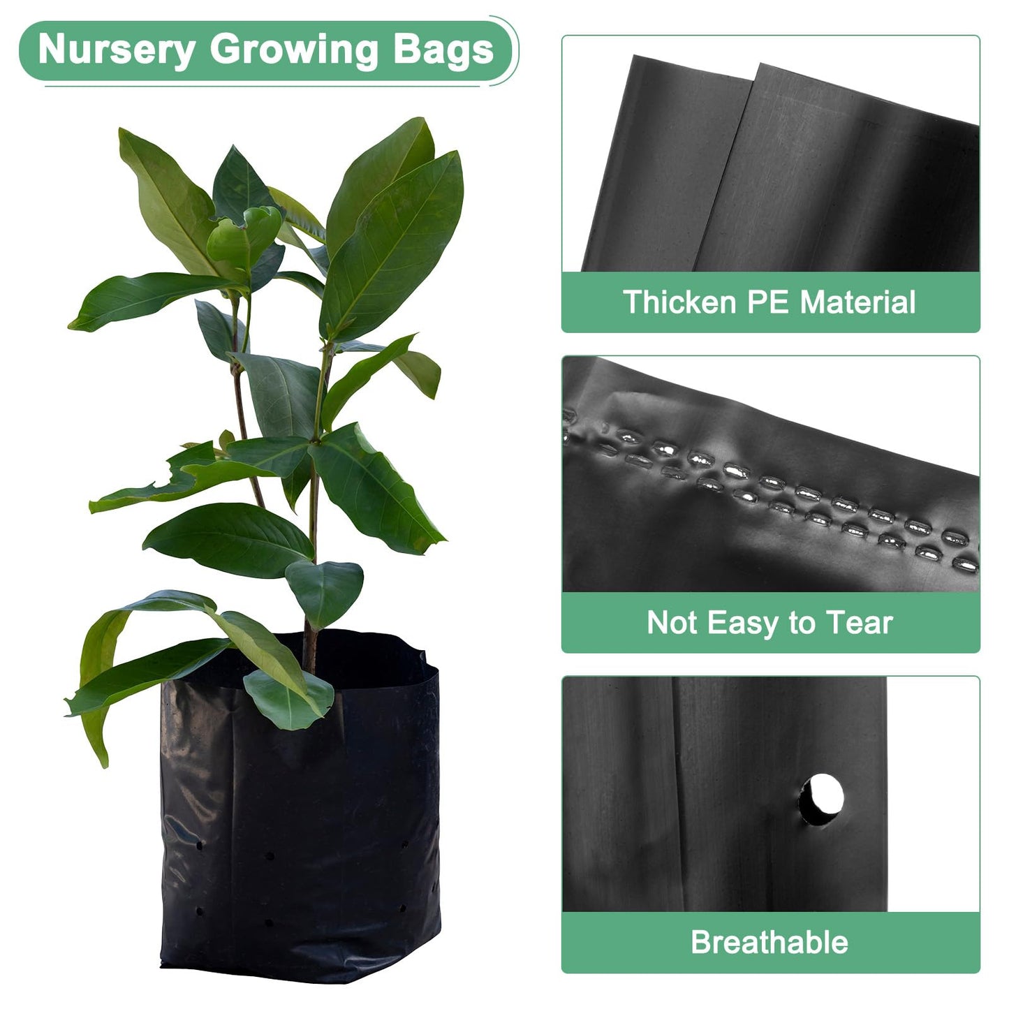 M METERXITY 50-Pack Nursery Growing Bags, 9.4" x 10.6" Thicken Plastic Nursery Bags, Gardening Seed Plant Bags for Potato/Flower/Tomato/Plant Starts/Home Gardening Supplies [Black]