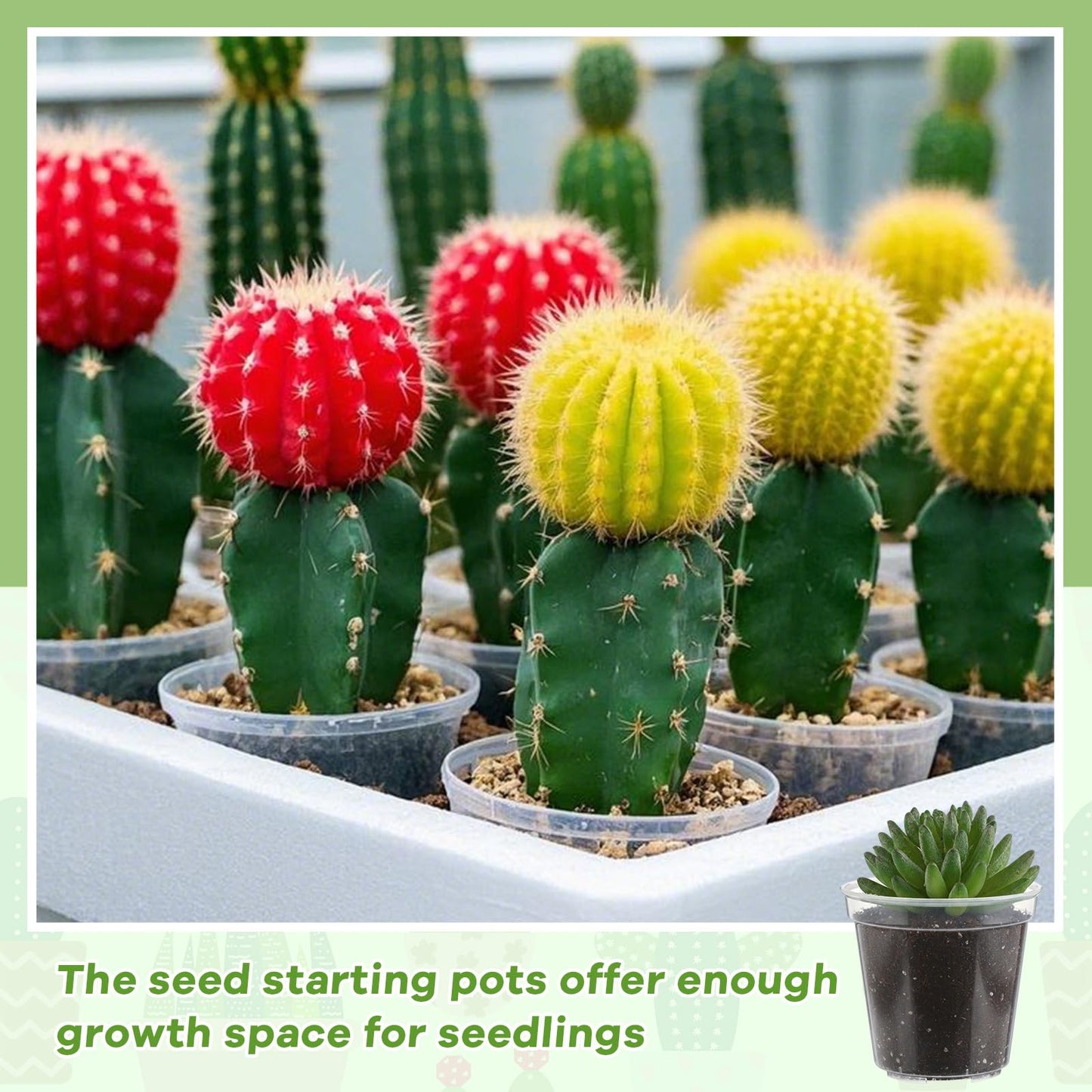 Yaomiao 30 Pcs 5 Inch Clear Mini Plastic Plant Pot Nursery Seedling Pots Seed Starter with Drainage Holes for Indoor Outdoor Garden Succulent Plants Cuttings Transplanting