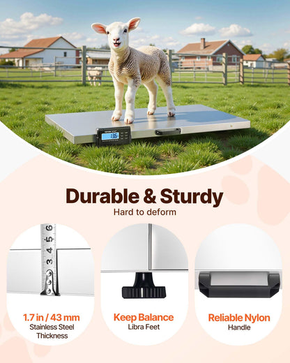 VEVOR 880Lbs x 0.2Lbs Livestock Scale Shipping Scales Large Platform 40.6x20.9Inch Stainless Steel Vet Scale Industrial Floor Scale Large Animal Dog Pig Scale Goat Weight Scale Pet Digital Scale