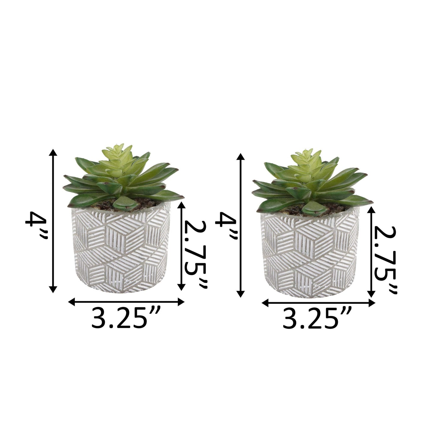 Flora Bunda Mid Century Artificial Plants Cactus Set of 2 Artificial Succulent in 3" Cement Pot Grey Planter, 2 Fake Potted Plants, for Home Office Decorations