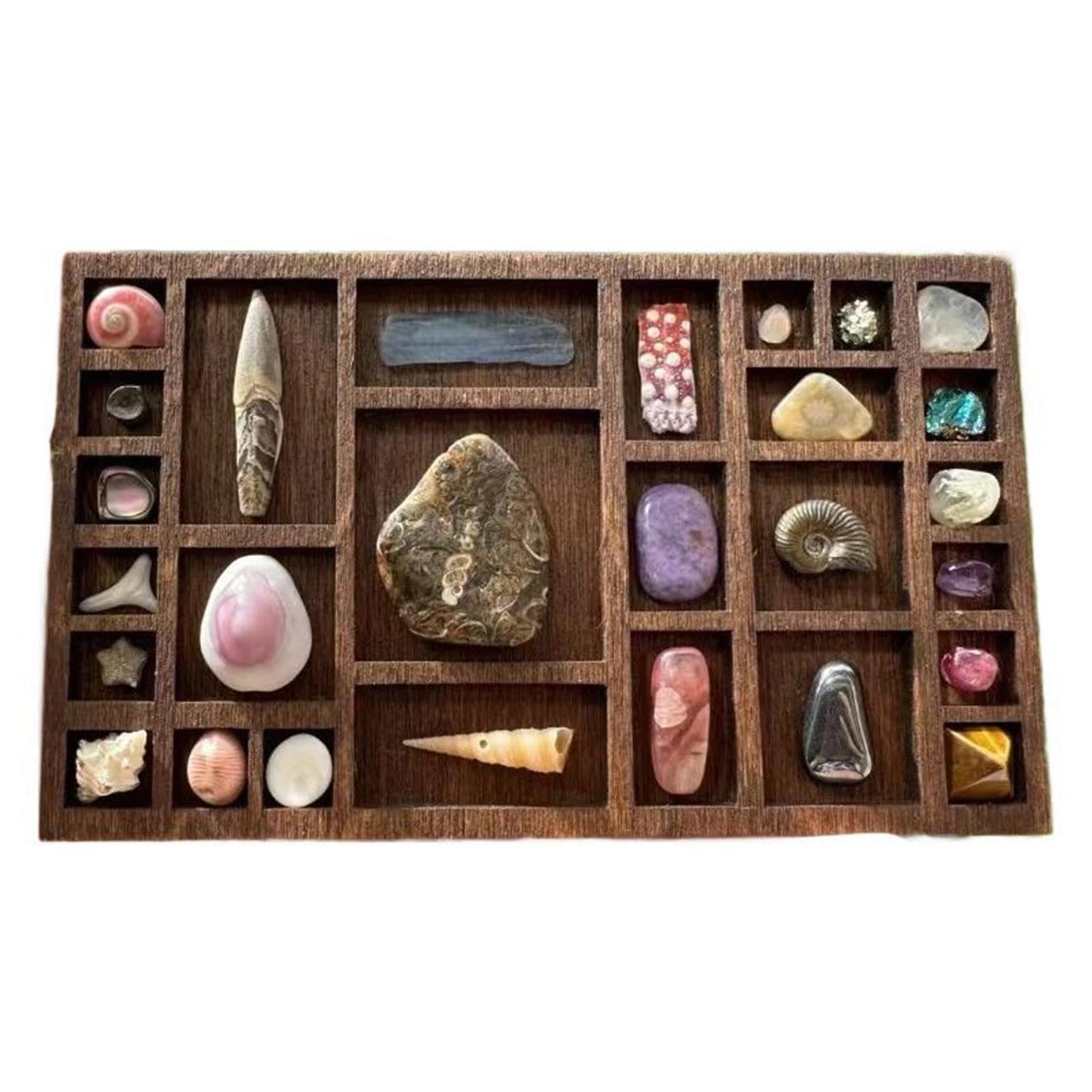 VELURA Miniature Trinket Shelf Organizer Home Decoration Collectibles Holder Wooden C | Rocks, & Minerals | Crystals & Mineral Specimens |1 Miniature Trinket Shelf