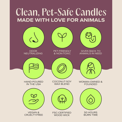 Companion Candles Sweater Weather Pet-Friendly Scented Candle – Smoked Vanilla & Cashmere Fragrance - Coconut Soy Wax Candle with Wooden Wick, Approx. 50-Hour Burn Time, Made in USA, 11.8 oz