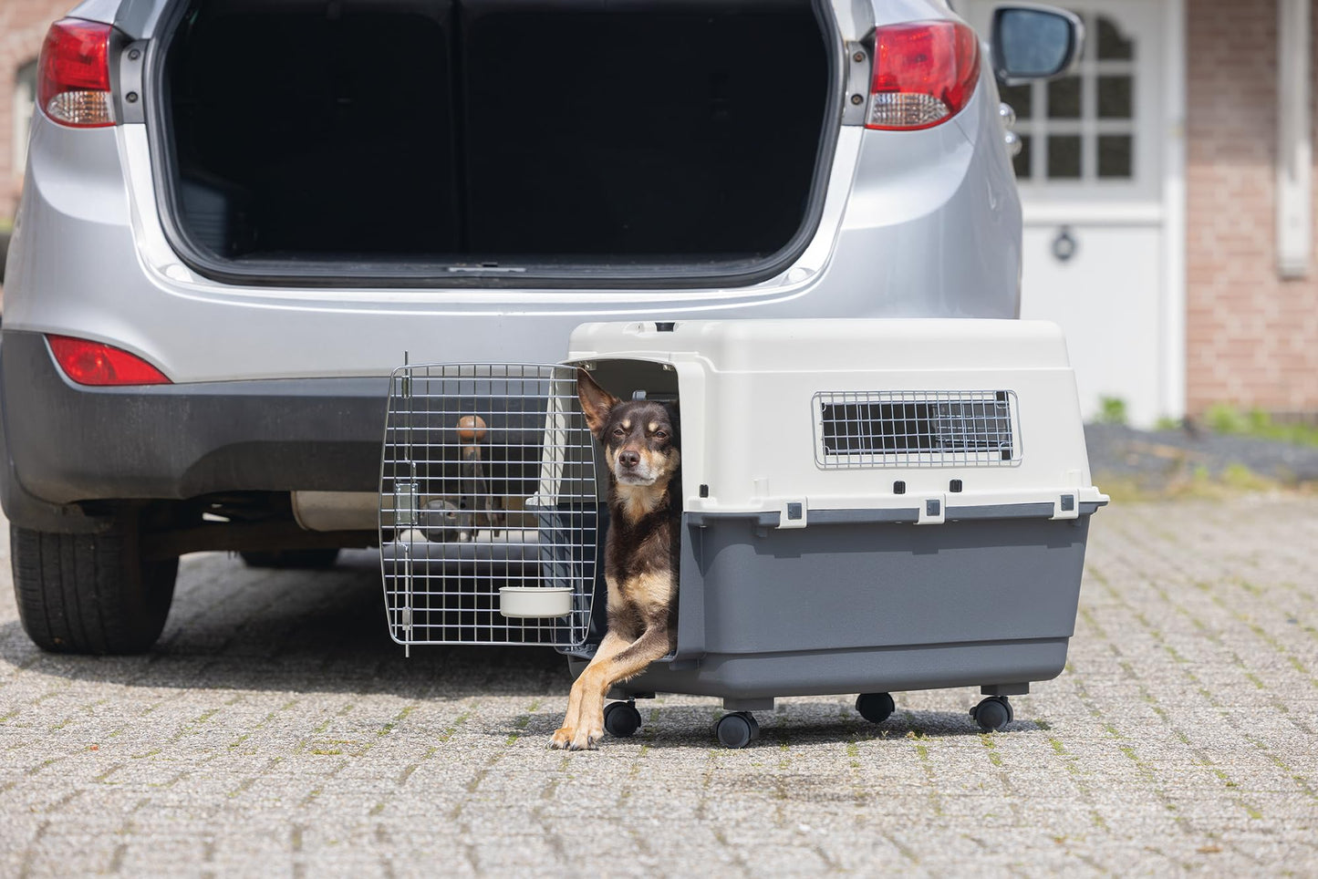 Karlie Transport Box - In Accordance with IATA Requirements for Transportation of Live Animals