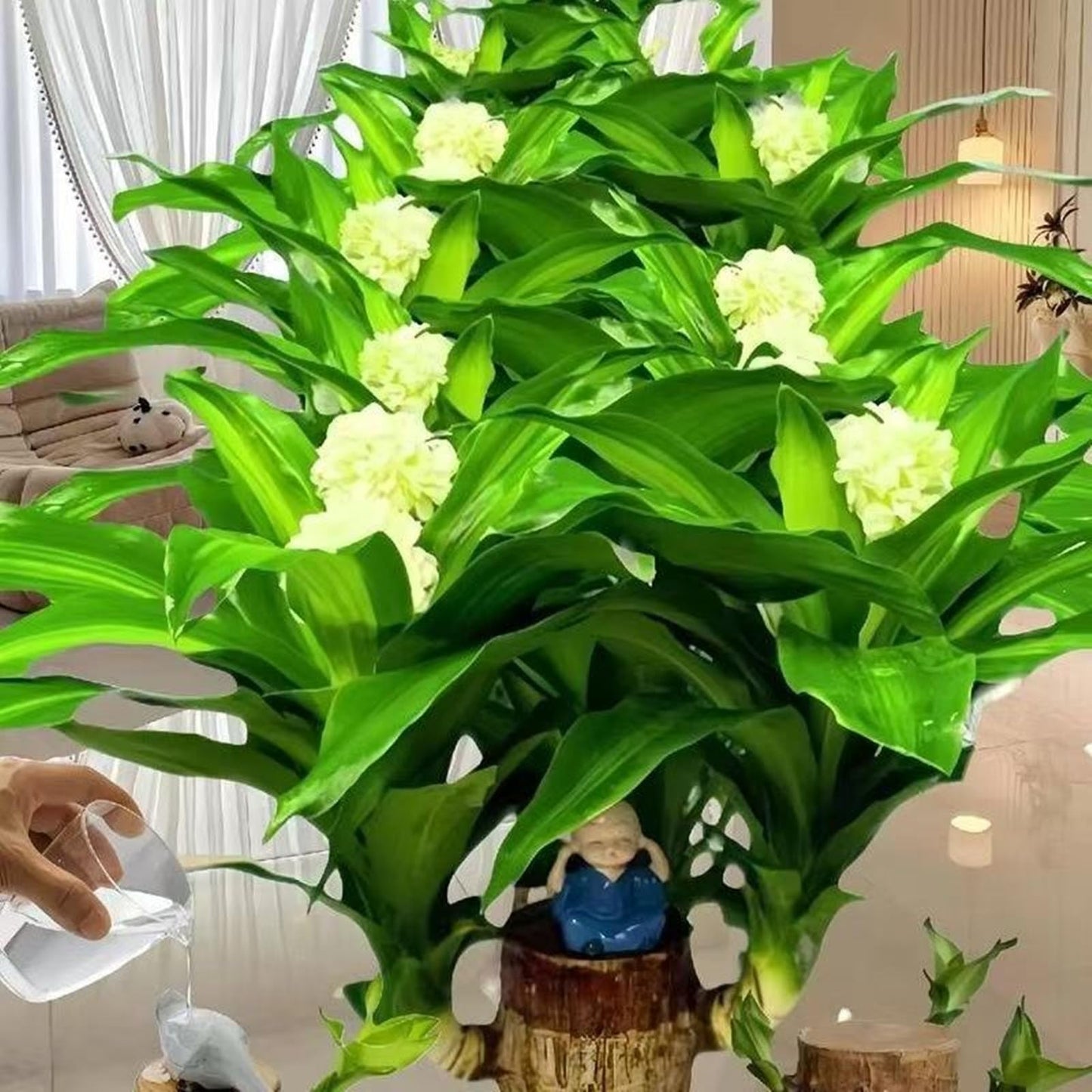Live Brazilian Lucky Wood Kit with Modern Base & 2 Decorations - Indoor Good Luck House Gift for Home Office Desk Decor - Easy Grow Housewarming Gift