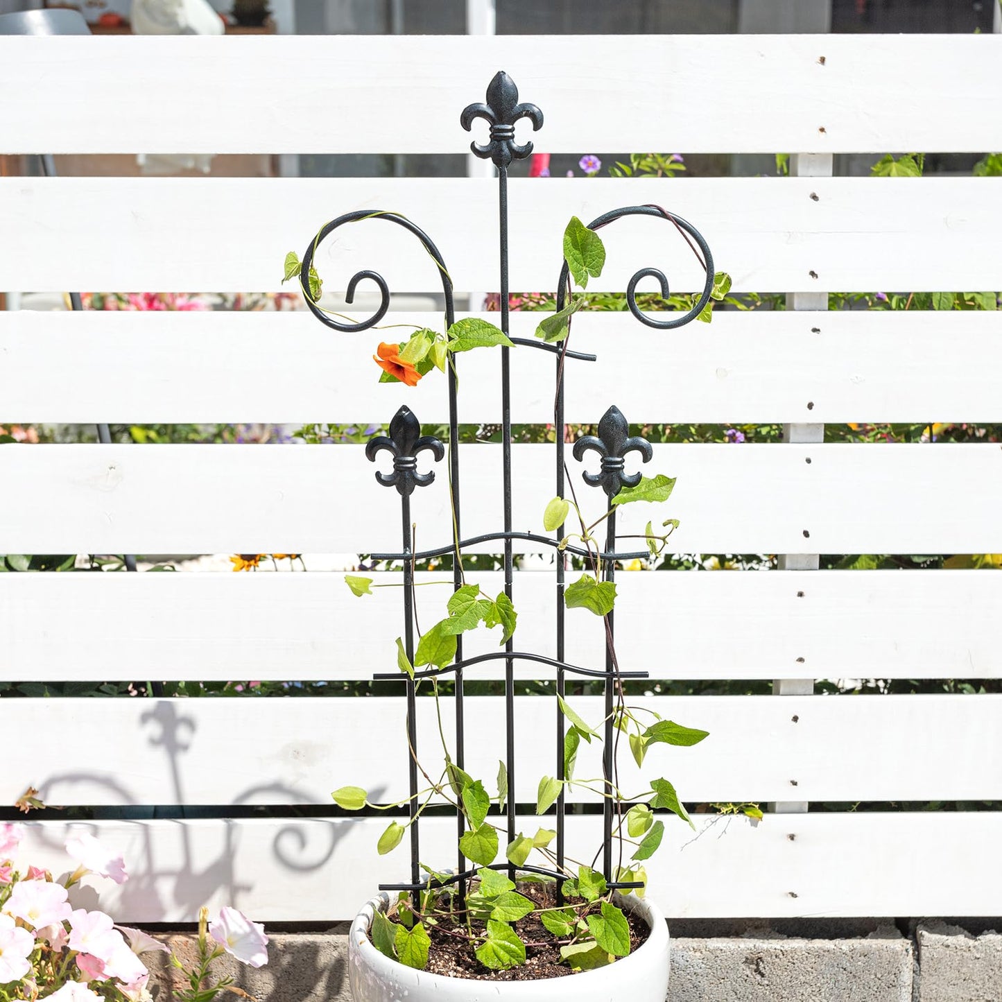 GOOOXIM 31" Trellis for Climbing Plants Indoor - Heavy Duty Metal Support for Potted Plants, Ideal for Vining Plants, Perfect for Tall Monstera & Houseplants, for Gardeners & Plant Lovers