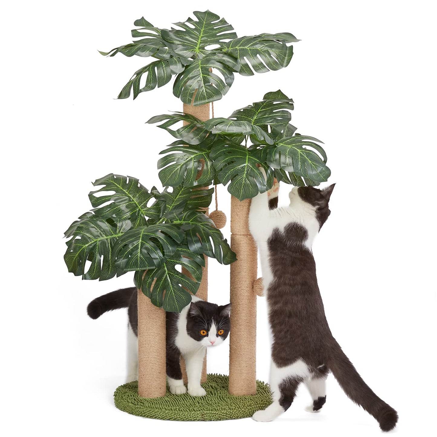 31.5Inch Cat Scratching Post,Cat Scratcher Tree with 3 Scratching Poles & 2 Interactive Dangling Balls,Cats Scratching Posts for Indoor Kitten & Adult Cats (Monstera tree)