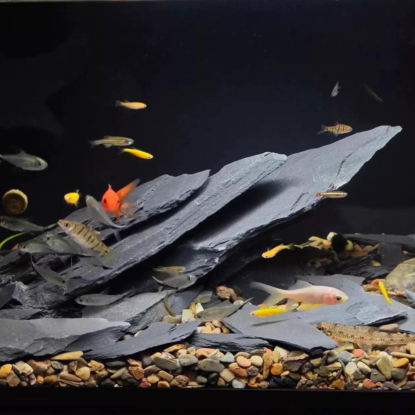 YISZM Slate Rock for Aquarium, 5-7 Inch Polished Natural Stone Rocks, Fish Tank Decor, Aquascaping Rocks, Safe for Aquariums, Terrariums, 10 lbs