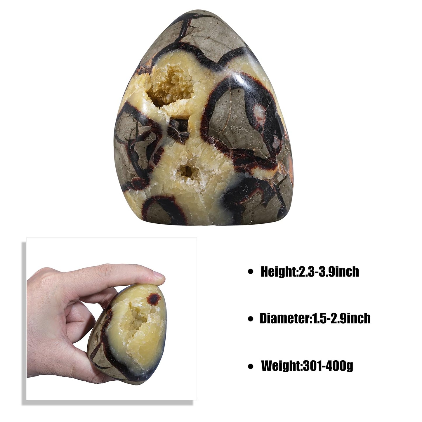 Sportmusies Natural Septarian Dragon Stone Geode Mineral Specimen Decoration for Reiki Home Office Desk, 3.07-4.52 Inches