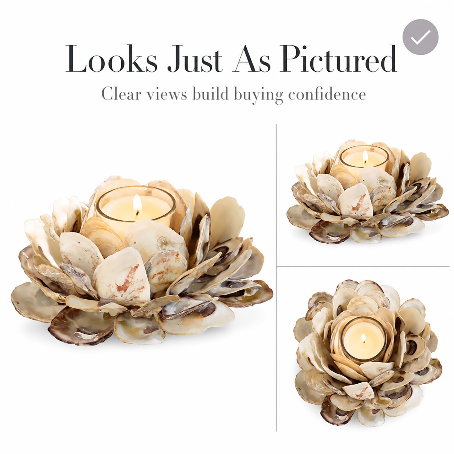 Mud Pie 498B002 Oyster Shell Votive Holder 3 1/4" x 7"