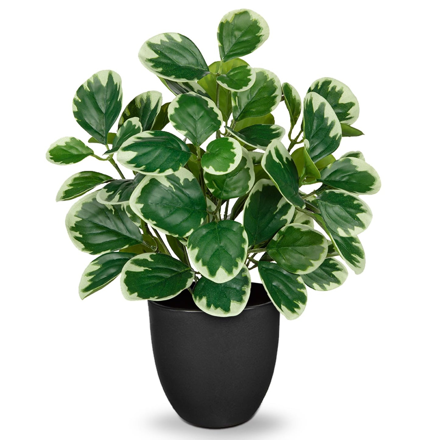 Villa Como 14.5" Artificial Plants Indoor Home Decor, Fake Potted Silk Plants for Shelves Living Room Decorative, Small Artificial Office Desk Plant in Pots, Faux Peperomia Hope Tropical House Plant