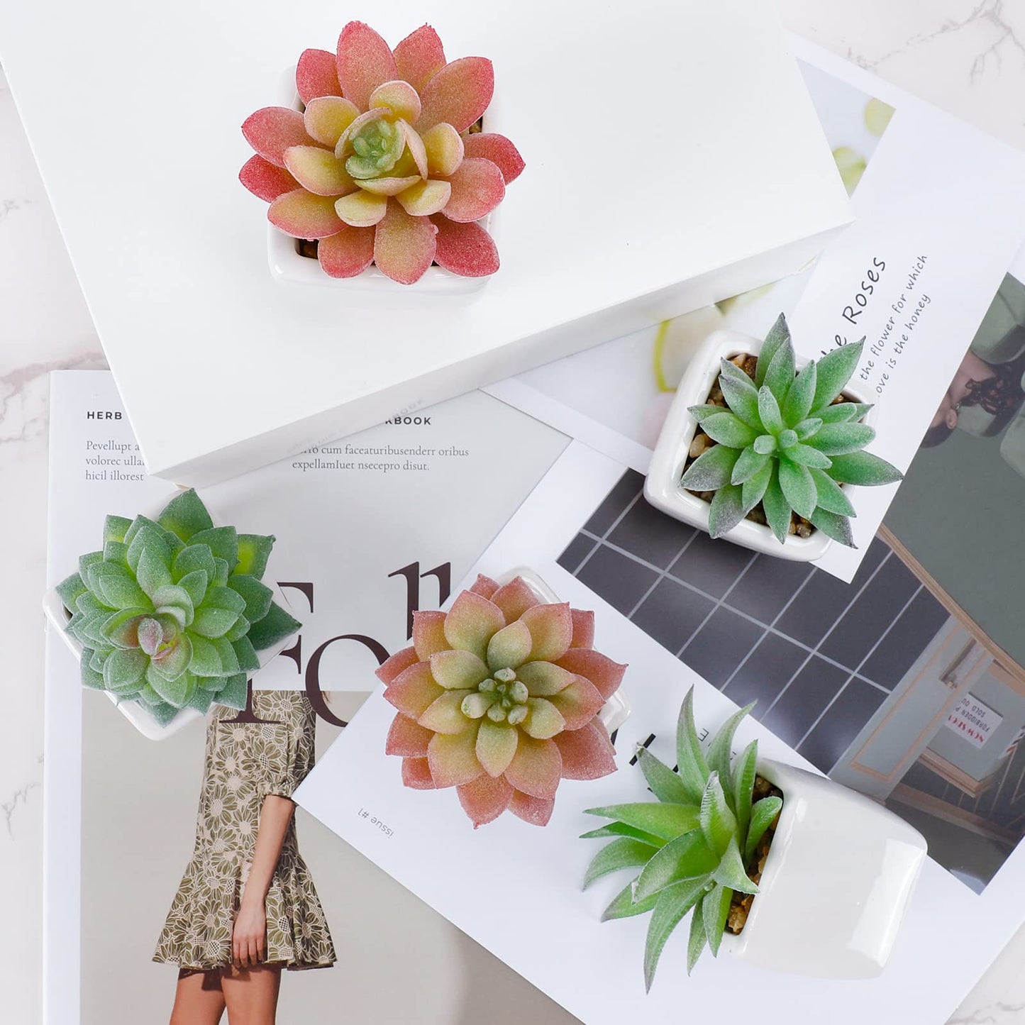 FUNARTY 5pcs Artificial Succulent Plants, Small Fake Desk Plants Mini Succulents Indoor for Shelf Living Room Bedroom Windowsills Office Home Decoration (Include White Ceramic Pots)