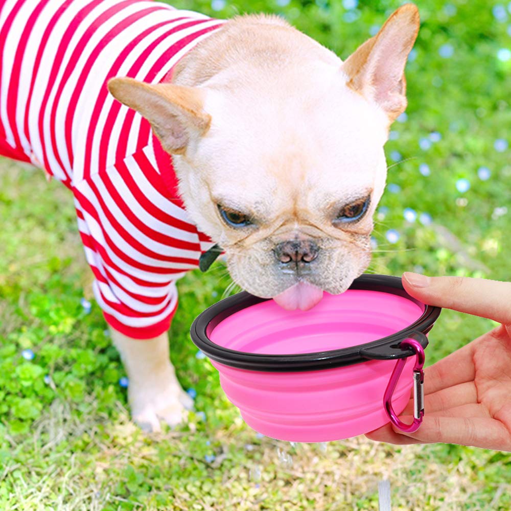 Dog Bowl Pet Collapsible Bowls, 2 Pack for Cats Dogs, Portable Pet Feeding Watering Dish for Walking Parking Traveling with 2 Carabiners (Small, Blue+Green)