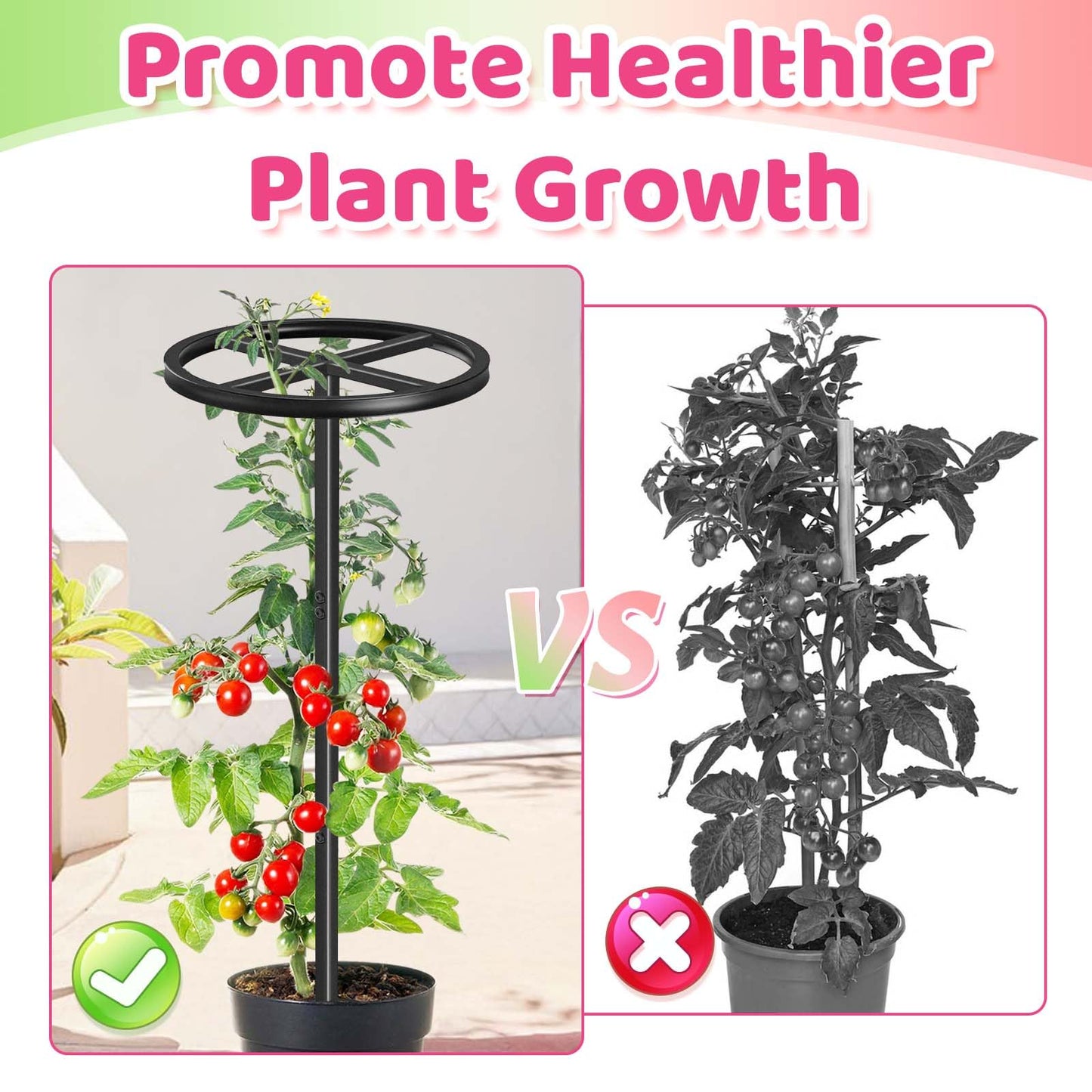 ODSNANIE Metal Dragon Fruit Trellis, Adjustable Durable Dragon Fruit Plant Trellis Vertical Indoor Support Frame for Climbing Plants Trees Cactus Garden Outdoor Potted Support,1 Pcs