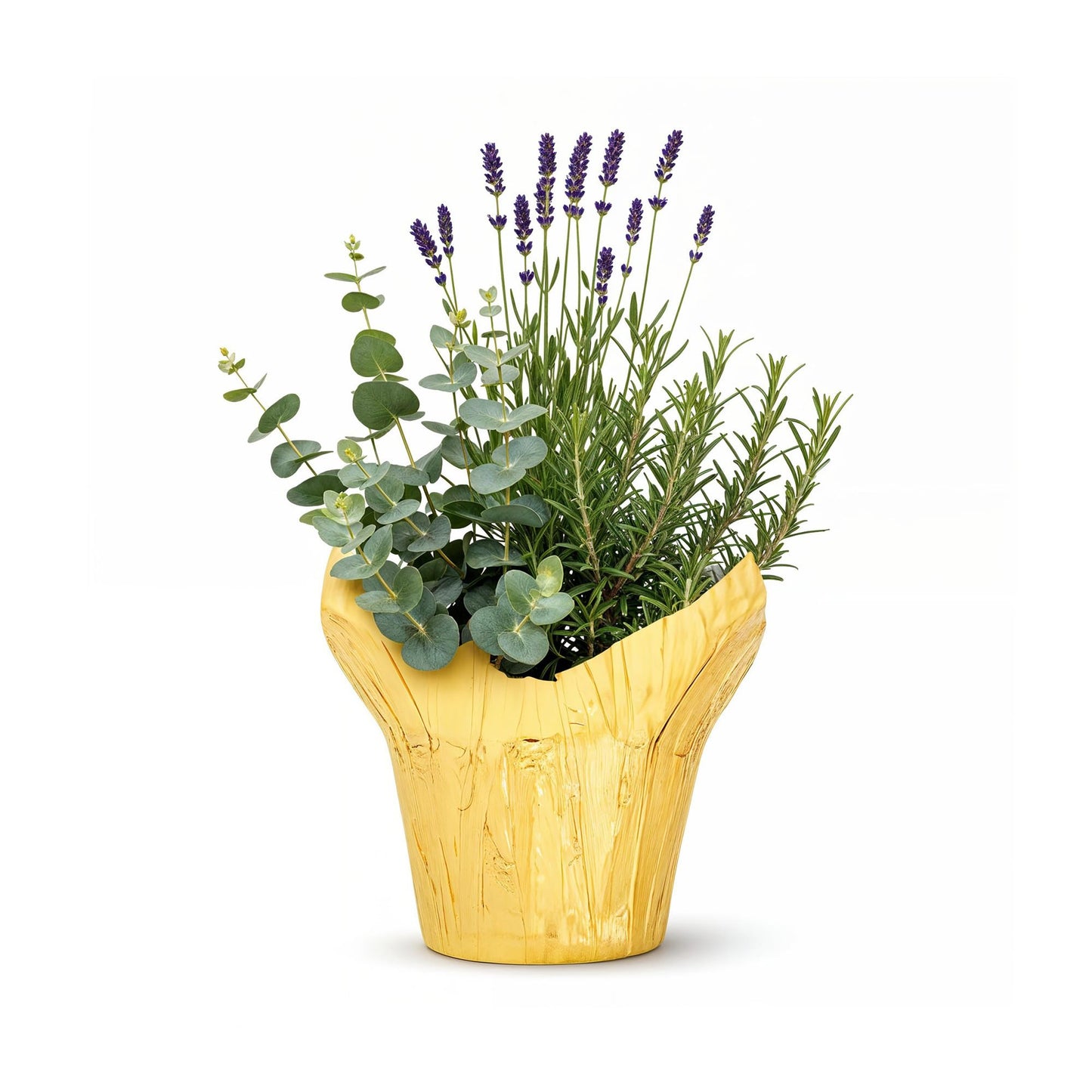 Live Aromatic and Healthy Herb Combo in Deco Cover - Air Purifier, Combo Includes Rosemary, Lavender, and Eucalyptus, 12" Tall by 6" Wide