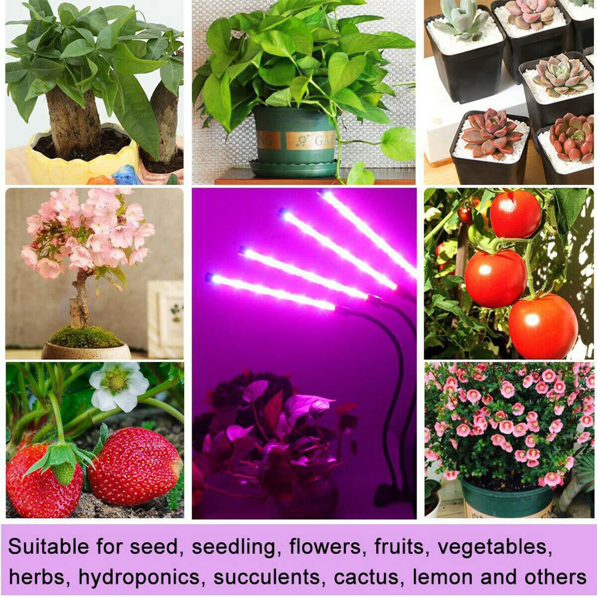 SupreTop Clip On Grow Light for Indoor Plants,Full Spectrum Led Plant Grow Lights with Auto-Timer, Plant Growing Lamp for Seed Starting,Houseplants, Bonsai, Pot Plant (1-Lamp)