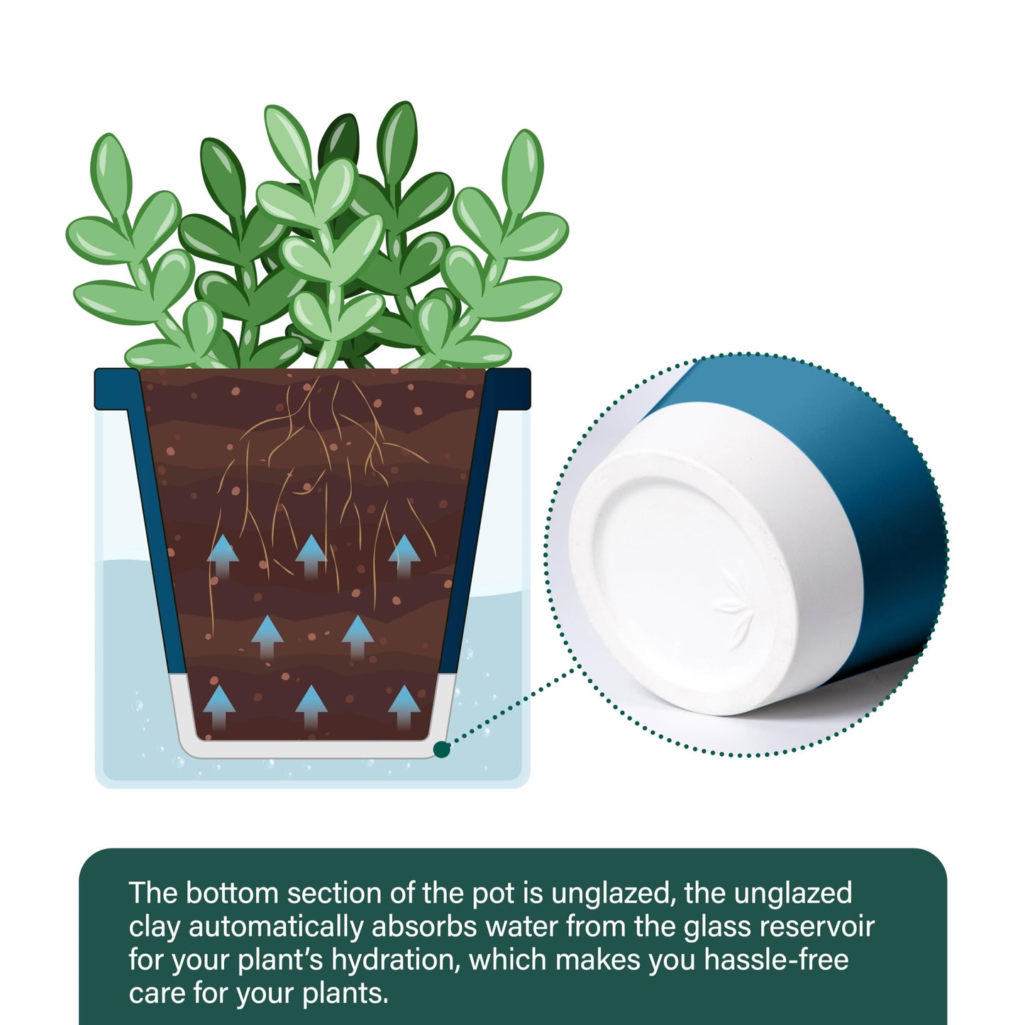 D'vine Dev 4 Inch Design Self Watering Planter for Indoor Plants, Blue Terracotta Pot with Cylinder Glass Cup, 37-X-A-4
