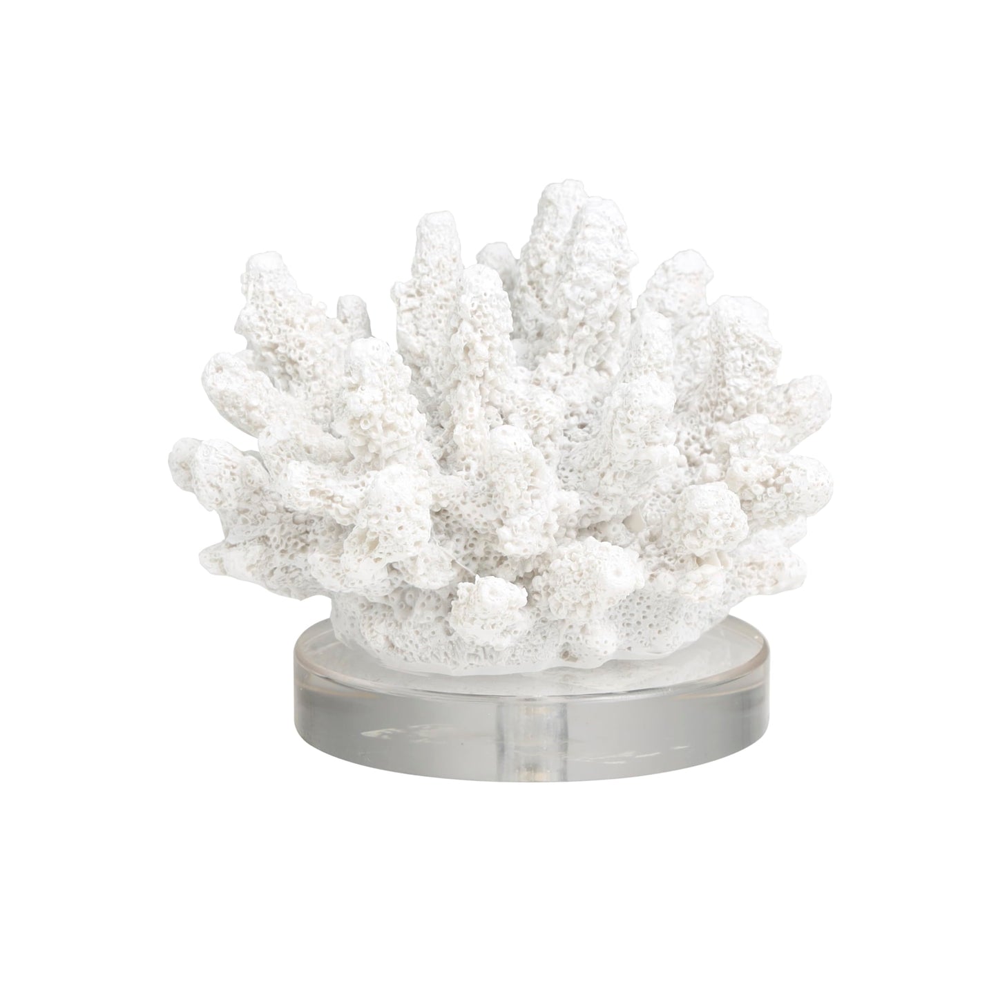 Deco 79 Polystone Coral Decorative Sculpture Small Textured Home Decor Statue with Clear Acrylic Base, Accent Figurine 6" x 5" x 4", White