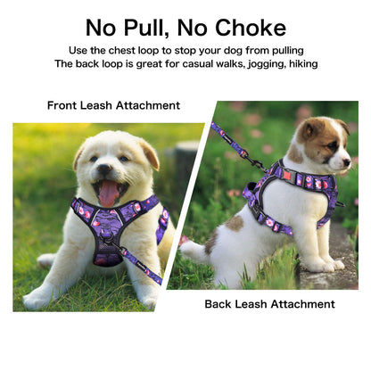 Petmolico No Pull Dog Harness Set with Leash Attachment Easy Control Handle Reflective Harness Vest Small Breed, Puppy Vest and Leash Set with Poop Bag Holder, XS - Purple Peach