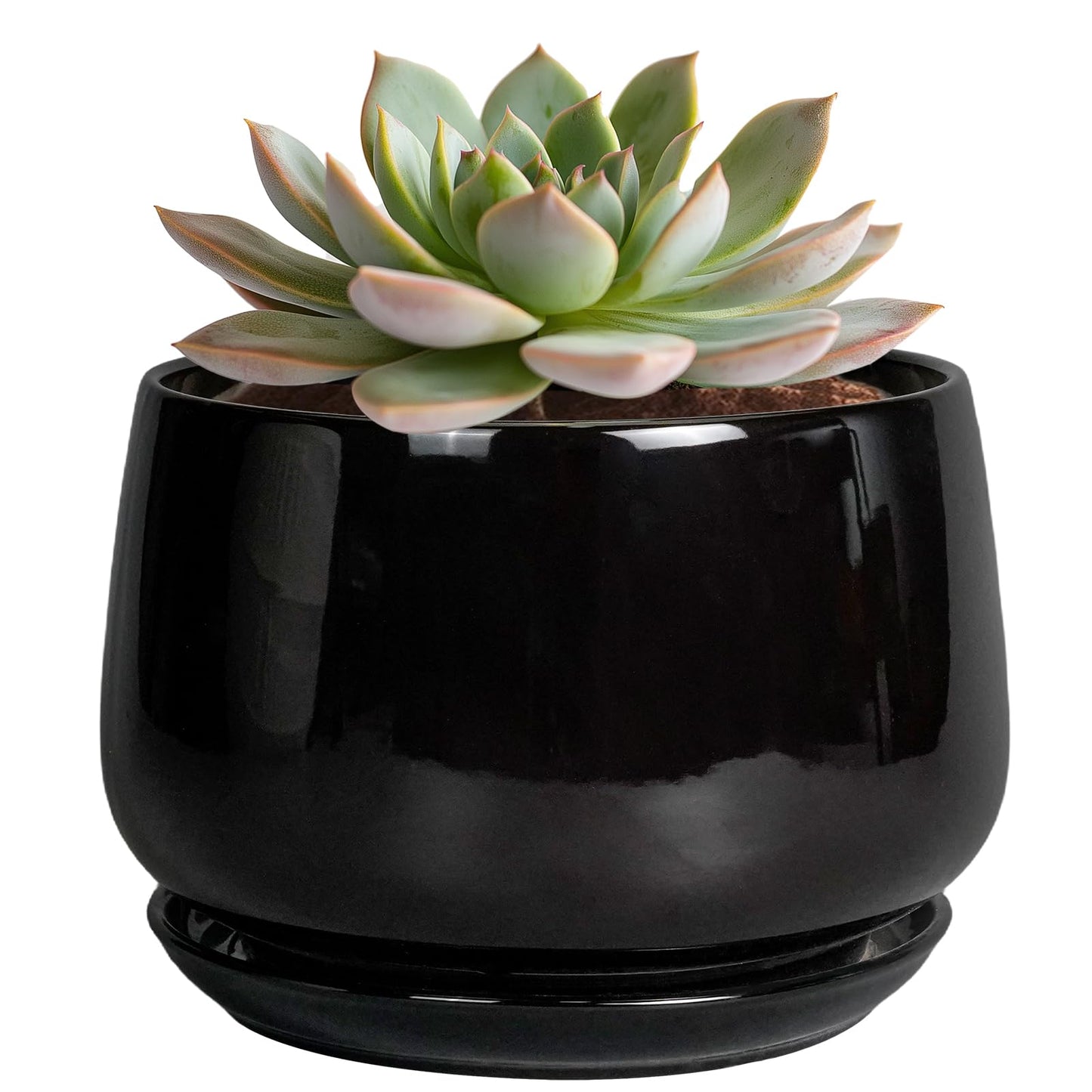 G EPGardening 6 Inch Planter - Ceramic Pot for Plants, Ceramic Planter with Drainage and Saucer, Round Flower Pot Indoor Outdoor, Modern Room Decor, Home Gifts, Black