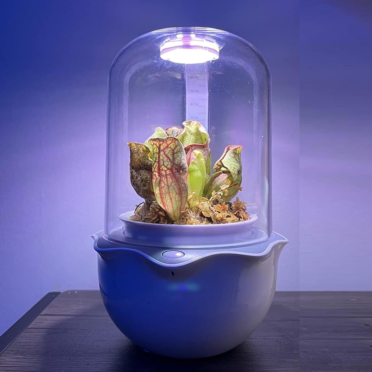 Smart Plant Lights for Indoor Growing,Venus Fly Trap Terrarium Kit with Light&Stand,Self Watering Pots for Indoor Plants,Smart Plant Pot with LED Grow Light&Timer for Succulents,Herbs,Flower