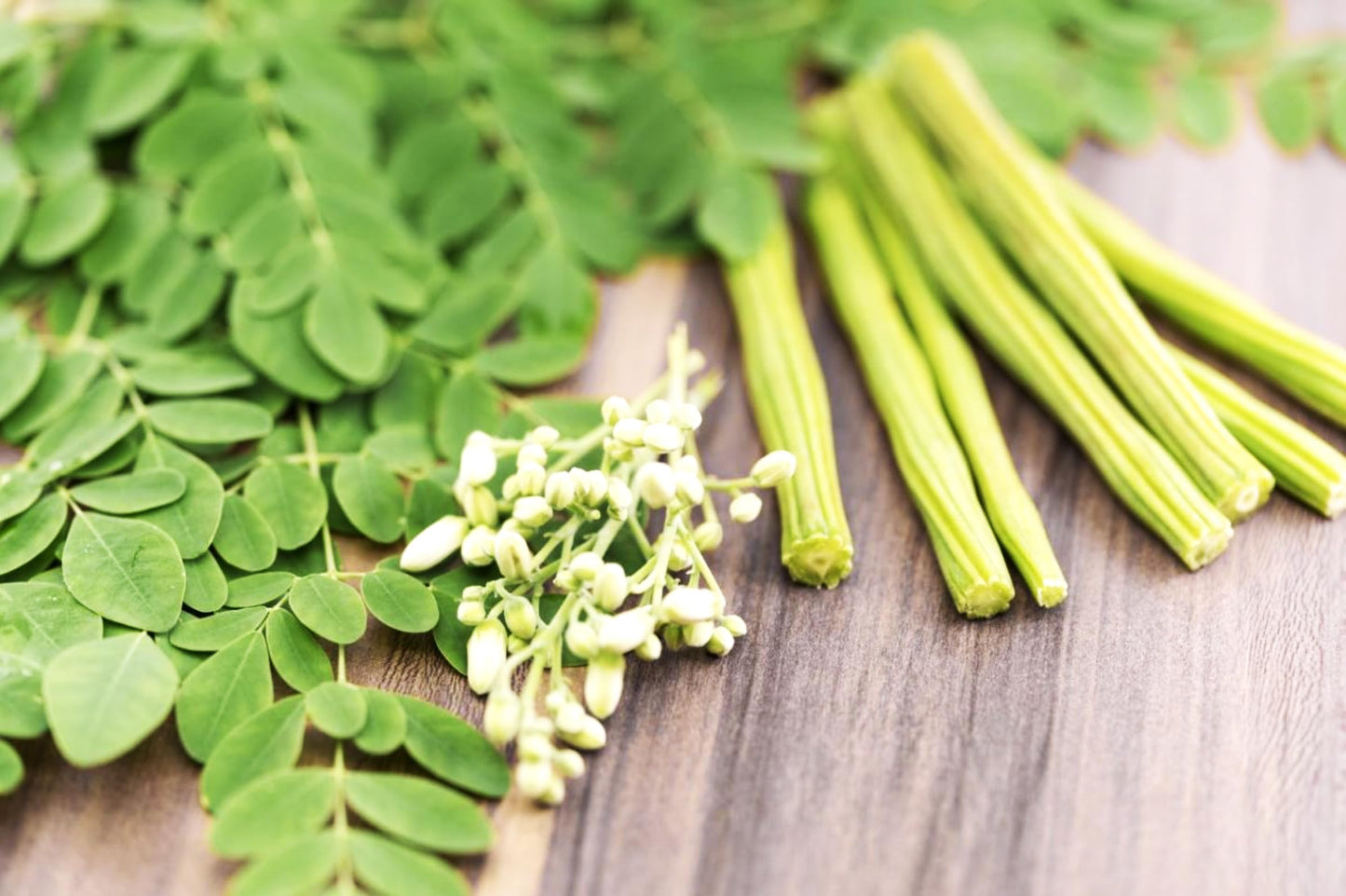 TomorrowSeeds - Moringa (Drumstrick Tree) Seeds - 30+ Count - For 2026 Planting Moringa Oleifera Drumstick Horseradish Edible Pods Flowers Malunggay Indian Perennial Tree Grow Your Own Home Farm Patio