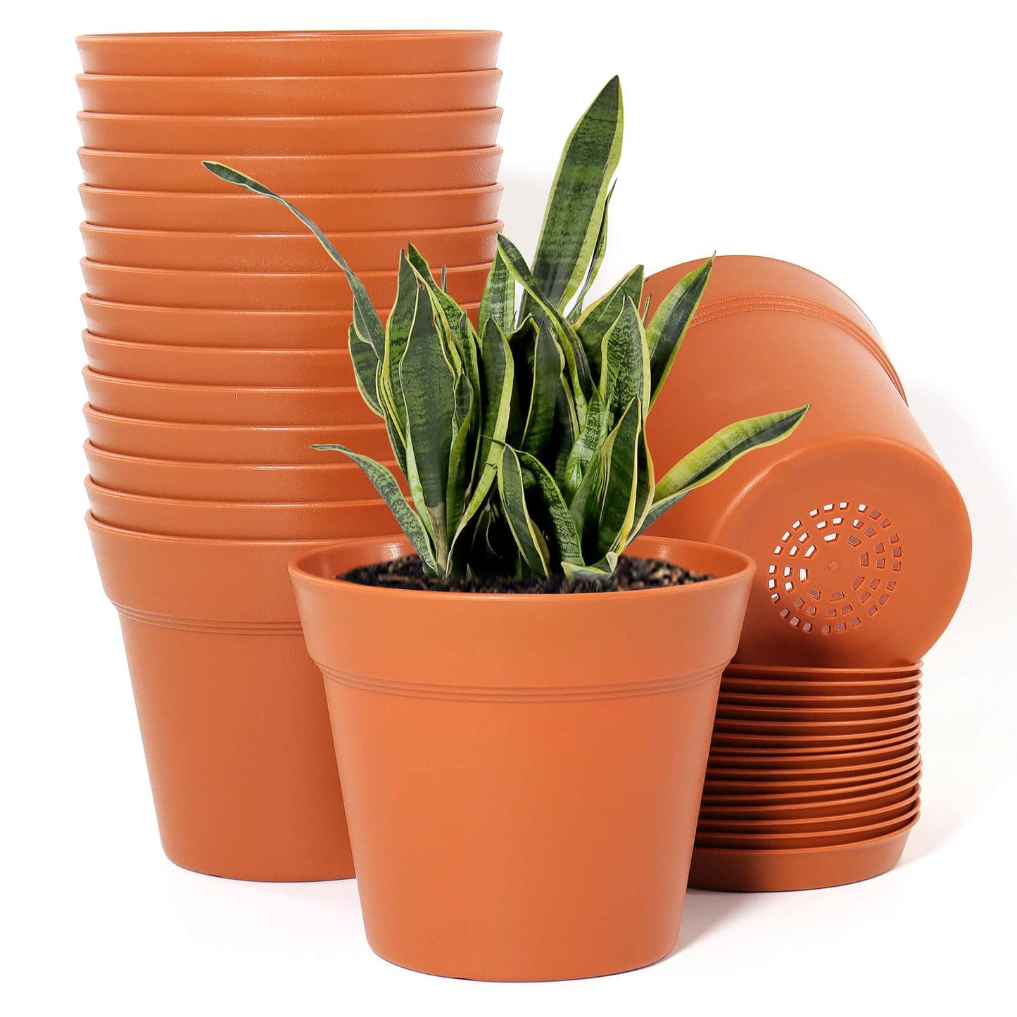 WOUSIWER 16 Pack 6 inch Plastic Planters, Plastic Indoor Planter Flower Pots, Heavy Duty and Stylish 6 Inch Plant Pots for Indoor Plants with Drainage Holes and Tray for Plants, Flowers, Terracotta