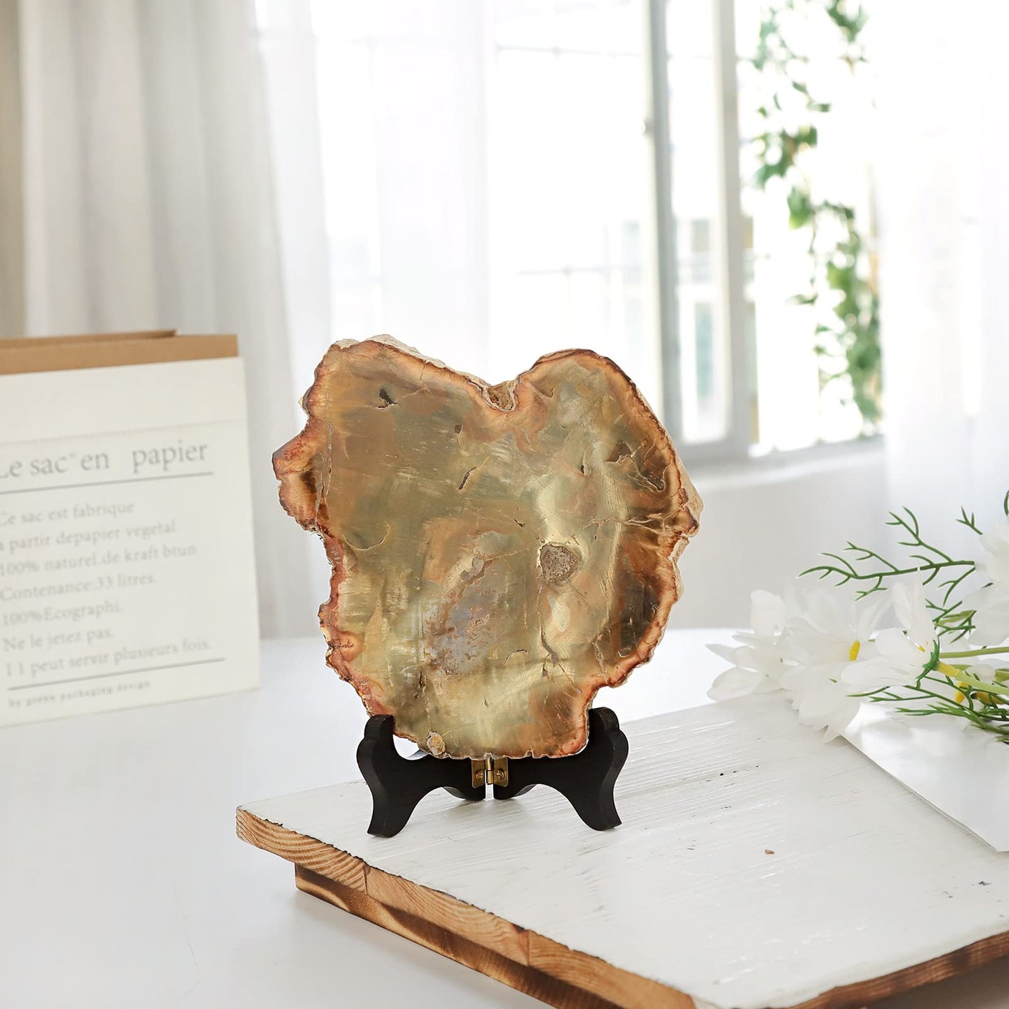 Rockcloud Natural Petrified Wood Slab with Wooden Stand, Reiki Raw Stone Display for Home Office Desktop Decoration