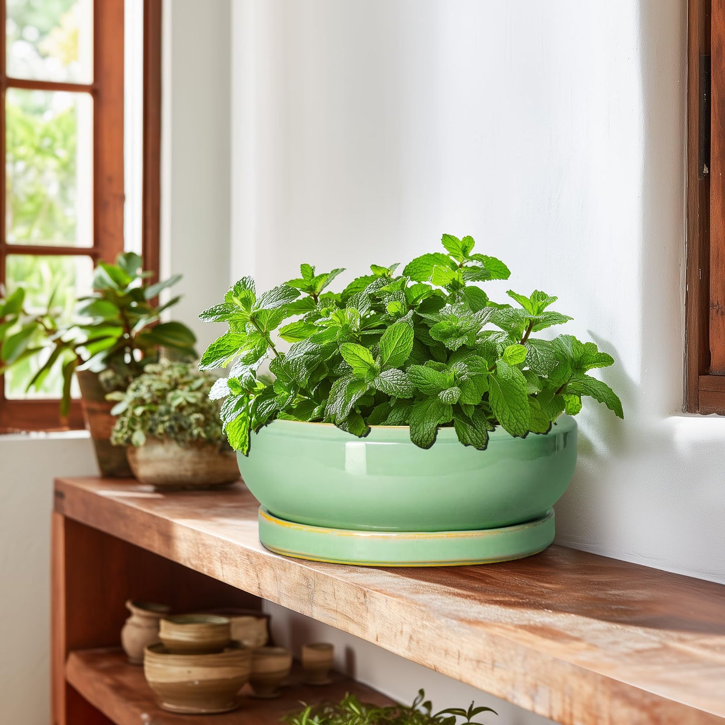 EPFamily 10 Inch Bonsai Tree Pots - Ceramic Succulent Pots with Drainage Hole and Tray, Shallow Planter for Indoor Outdoor Plants, Round Planters, House Decor, Gifts for Plant Lovers, Light Green