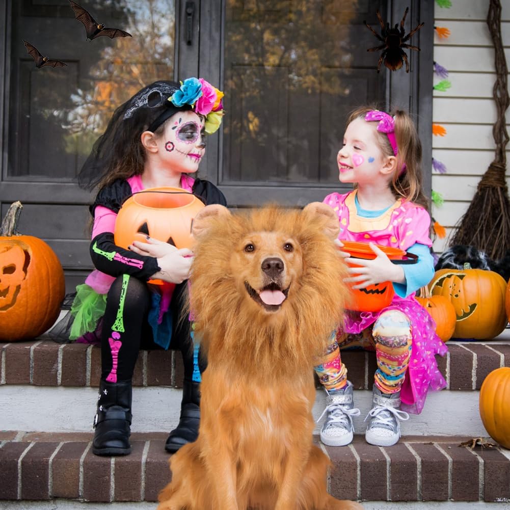 Vivifying Lion Mane Wig, Adjustable Pet Costume with Ears for Dog (Brown)