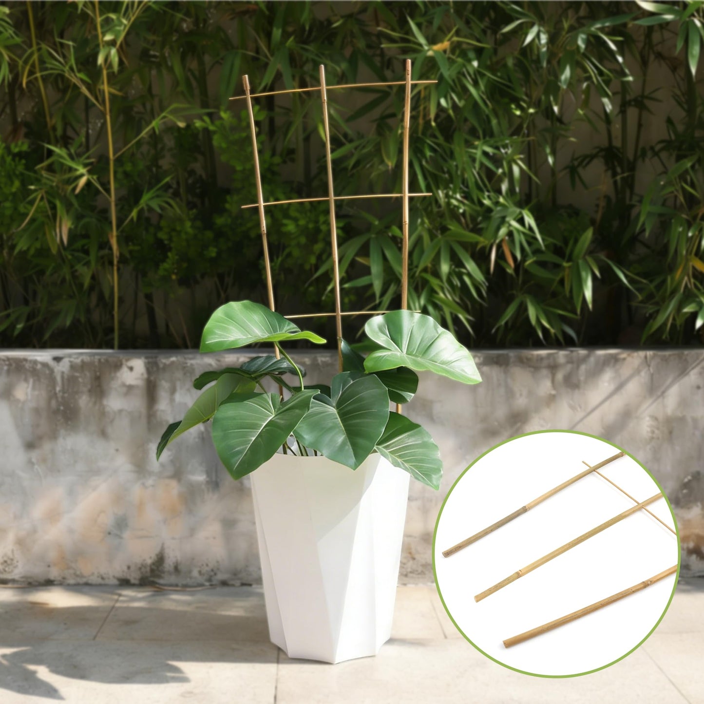 5 Pack 16" Bamboo Trellis for Climbing Plants-Natural Garden Ladder Fan -Shaped Plants Support Trellis for Potted Plant Decor in Door
