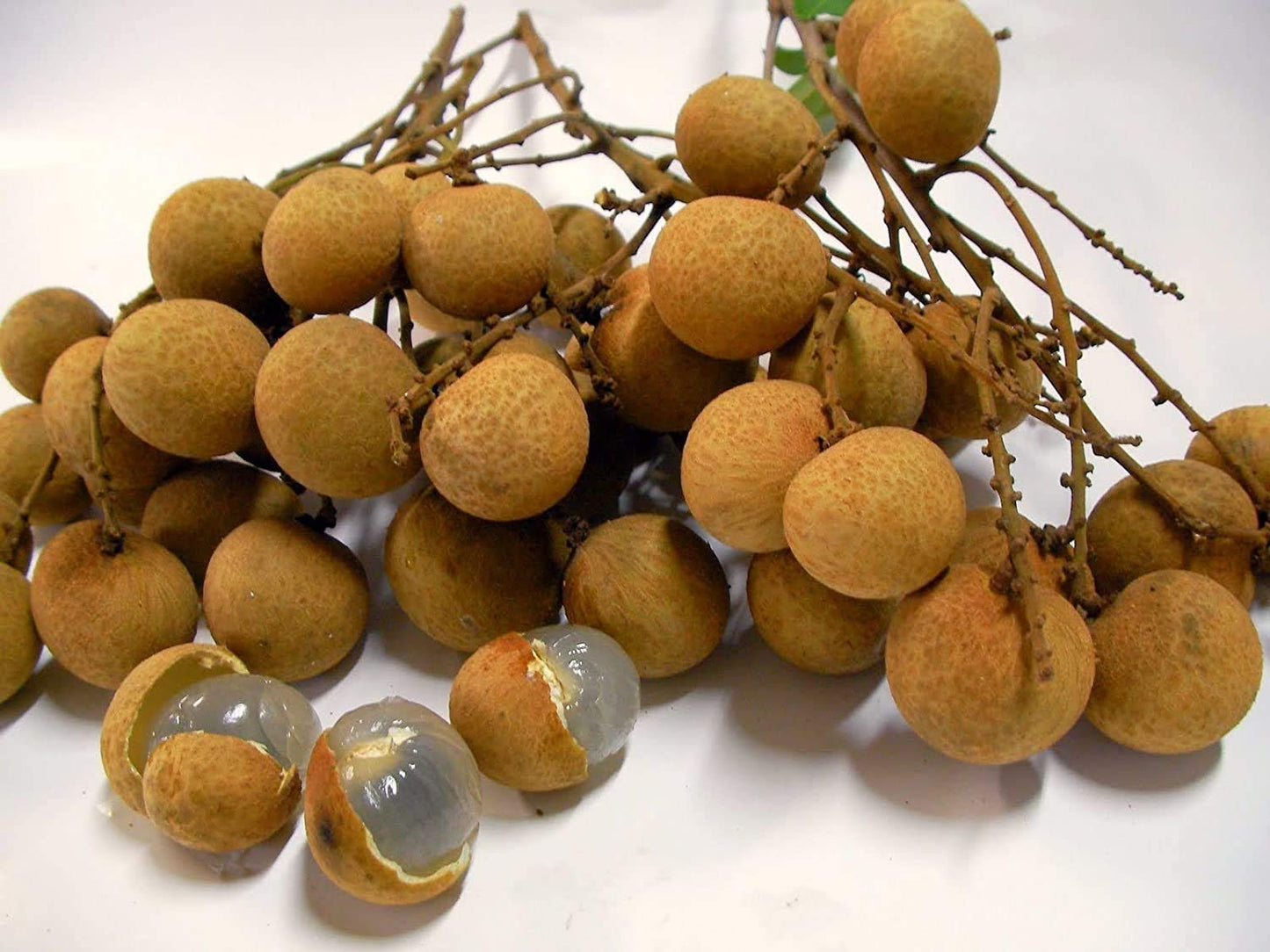 Hot Sale! 1bag=10pcs Longan Seeds Fruit Seed Tasty Dragon Eyes Rare Bonsai Potted Plants Home Garden Decoration Sementes Seeds of Hope