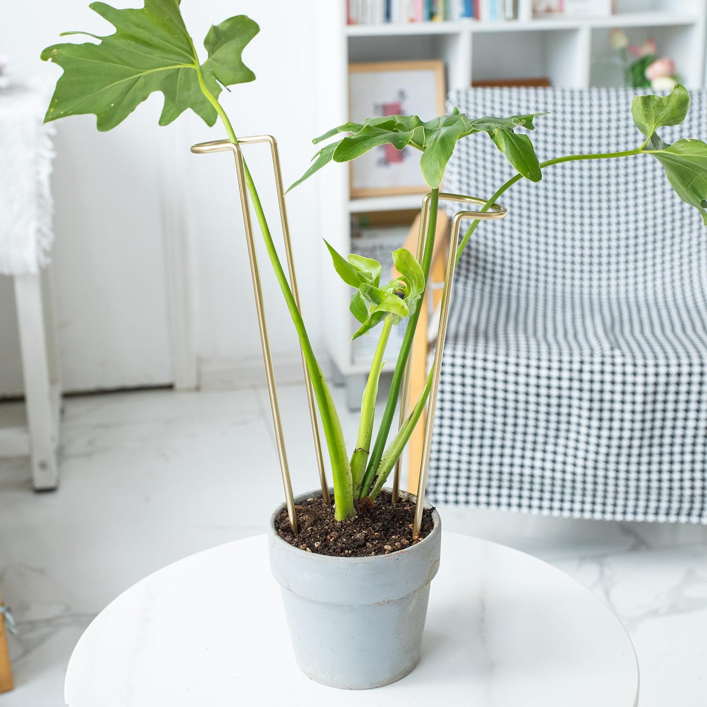 GOOOXIM 12-Inch Monstera Support - 10 Pack Medium Plant Support for Indoor and Outdoor Plants, Durable Stem Holder Trellis for Monstera and Spring Plant Stakes, Ideal for Home, Balcony, and Terrace