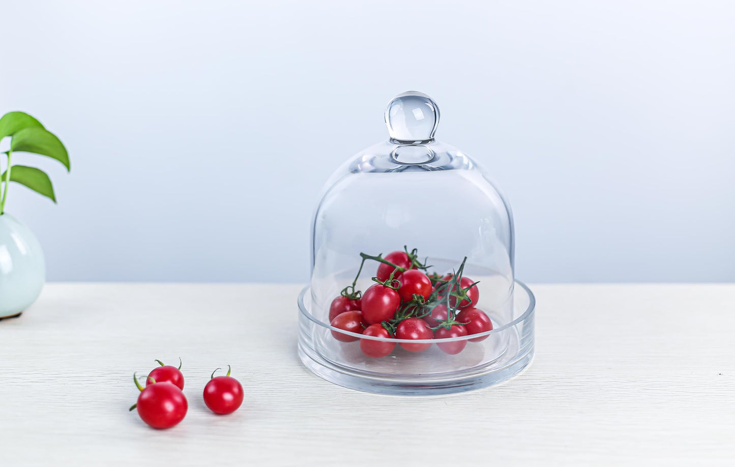 CYS EXCEL Glass Bell Dome Cloche with Glass Base (H:8" W:7") | Multiple Size Choices Terrarium Jar Plant Cover | Cake Dessert Display