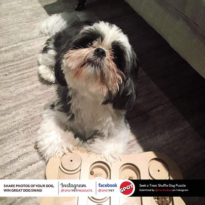 SPOT Ethical Pet Interactive Seek-A-Treat Shuffle Bone Toy Puzzle That Will Improve Your Dog's IQ, Specially Designed for Training Treats